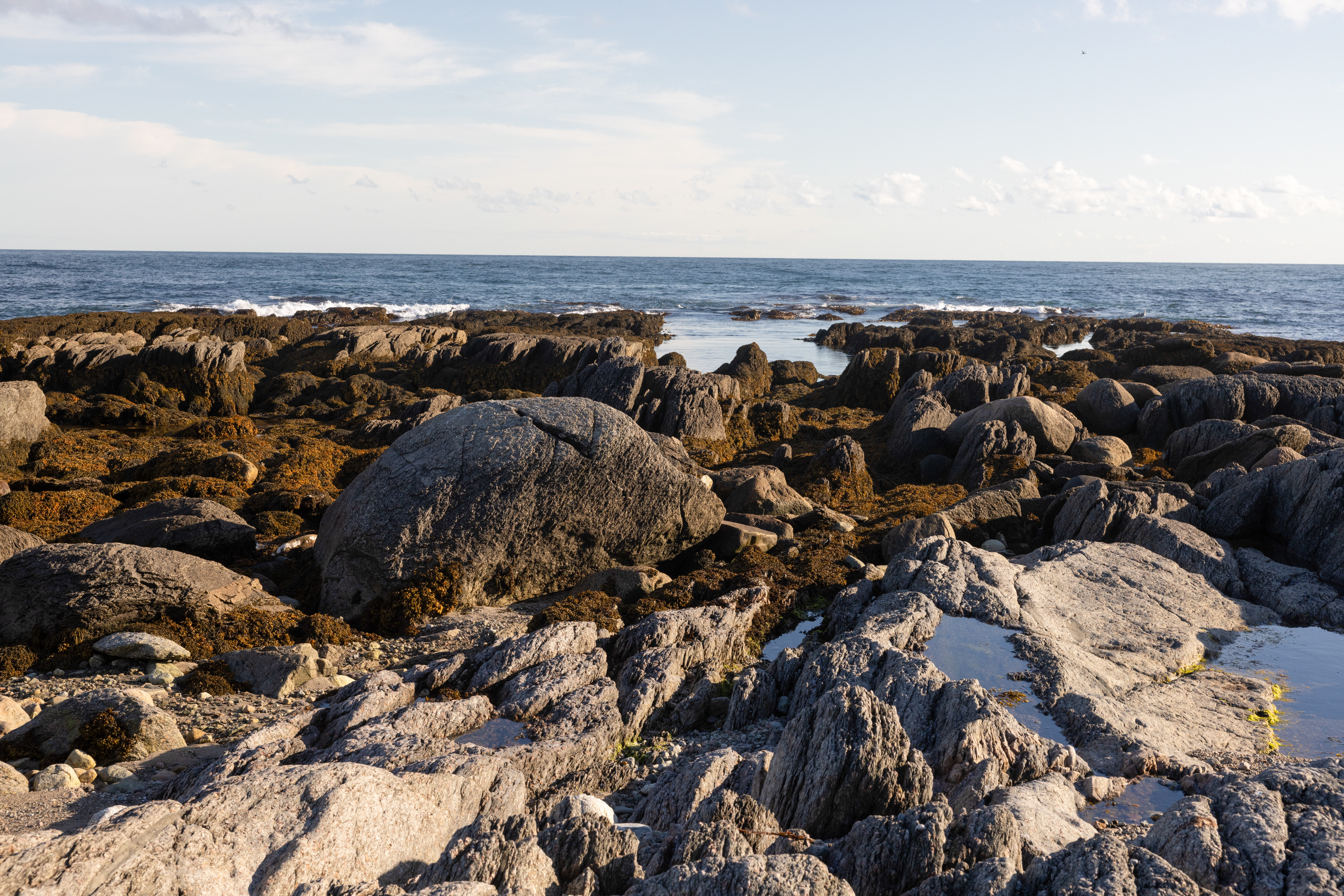 Rocky Coast of Newfoundland