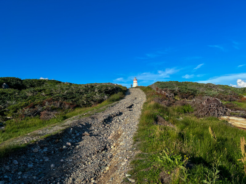 Lighthouse in Newfoundland — Architecture, Building, Complementary Colors, Lighthouse, Tower