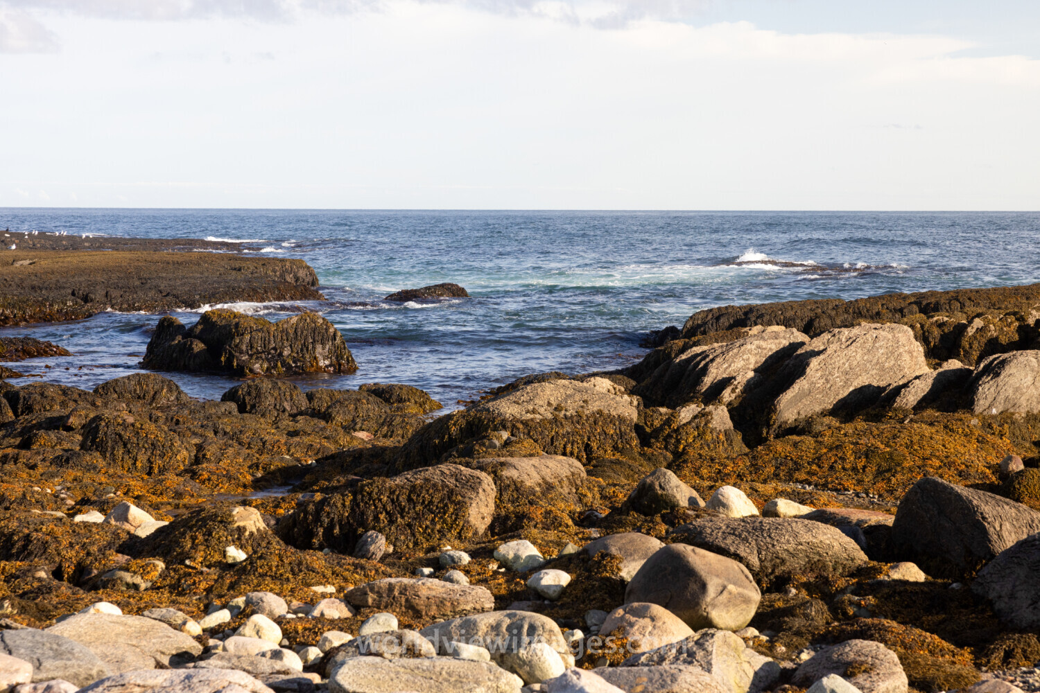 Rocky Coast of Newfoundland