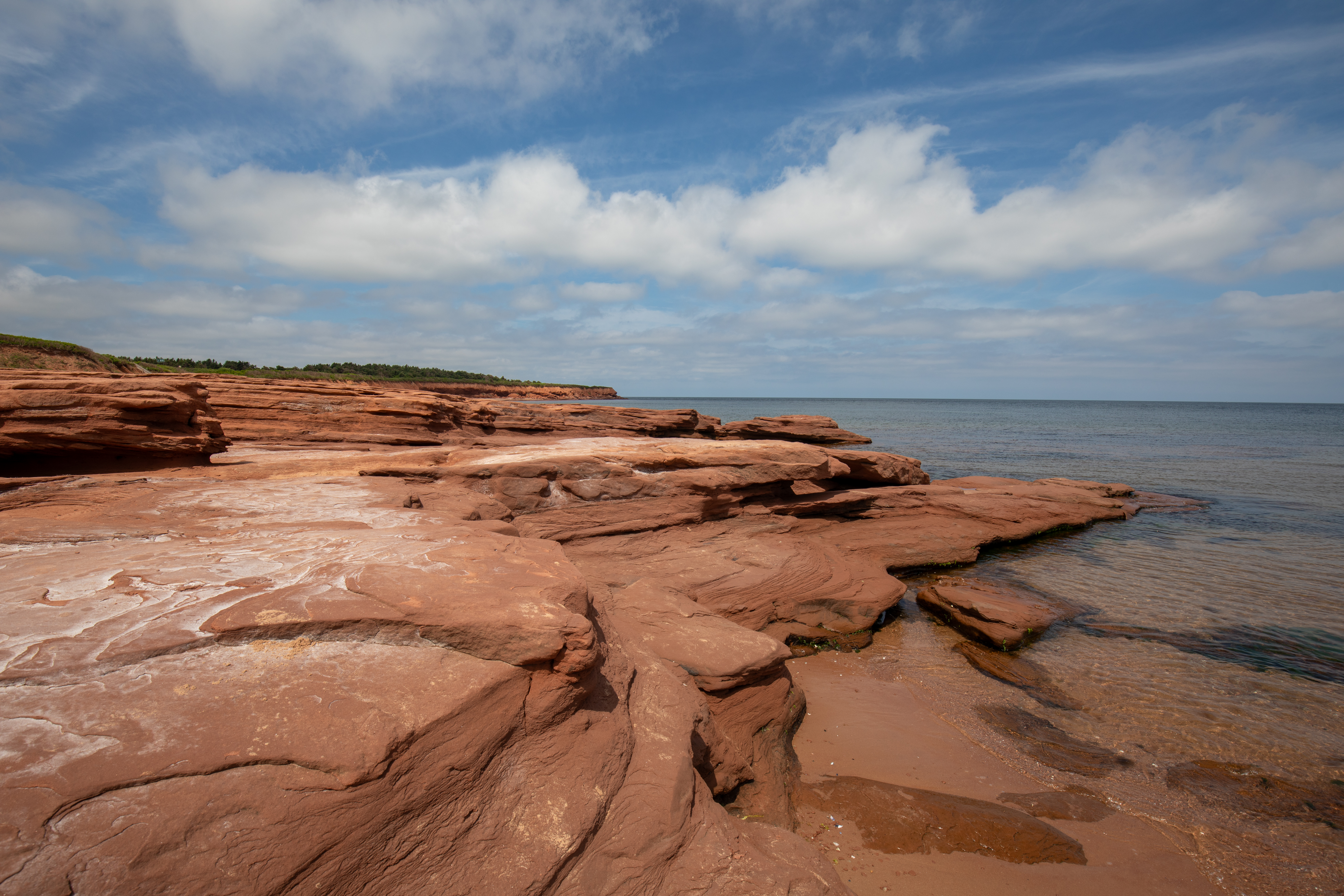 Red Sandy Shore of PEI