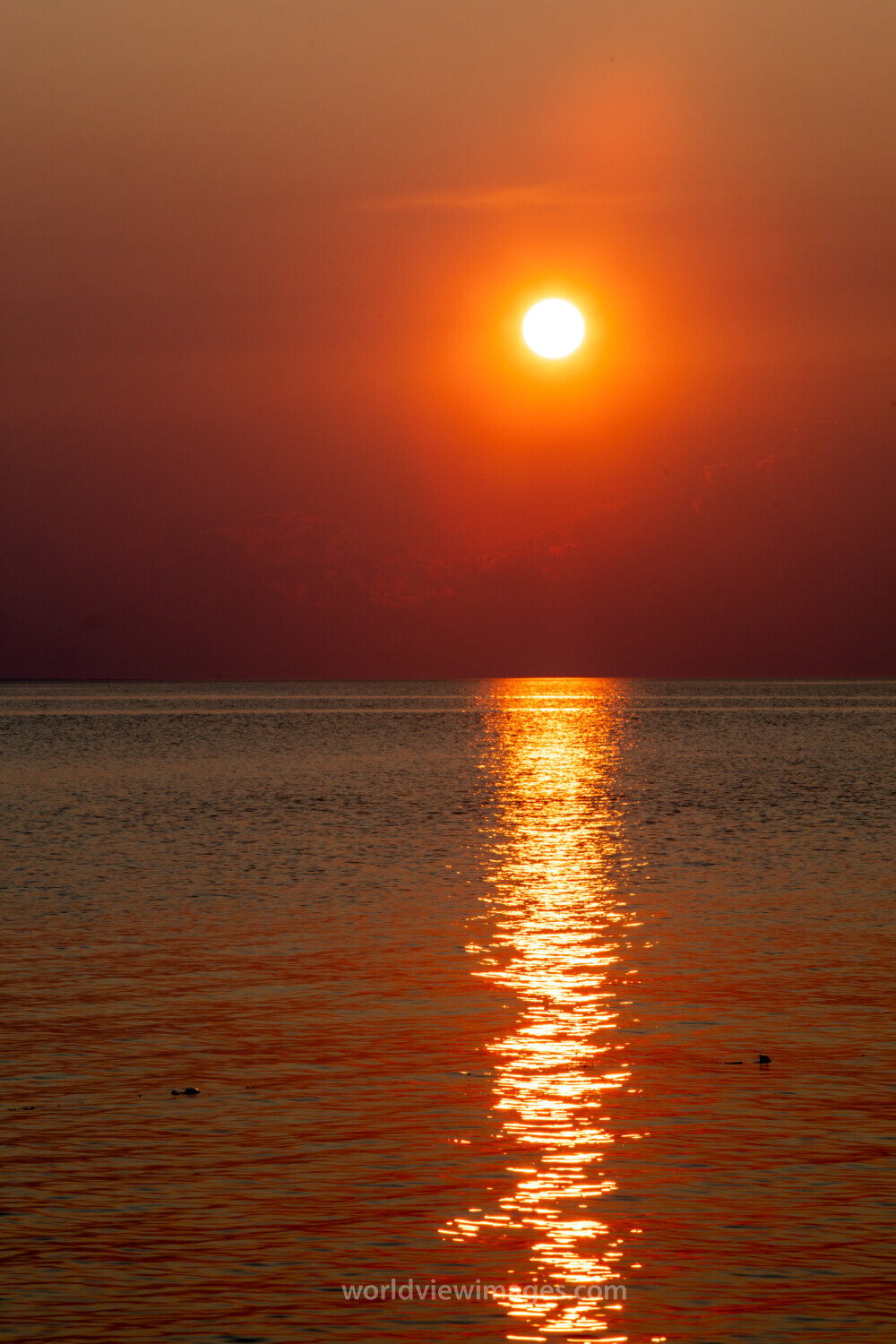 Sunset In Prince Edward Island