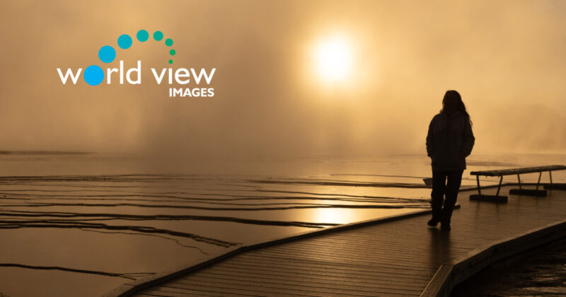 Photo: RankMath Banner