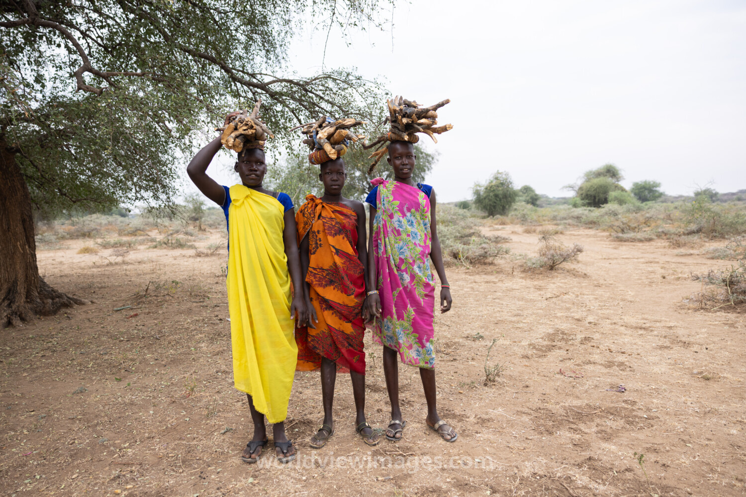 Collecting Firewood in Africa
