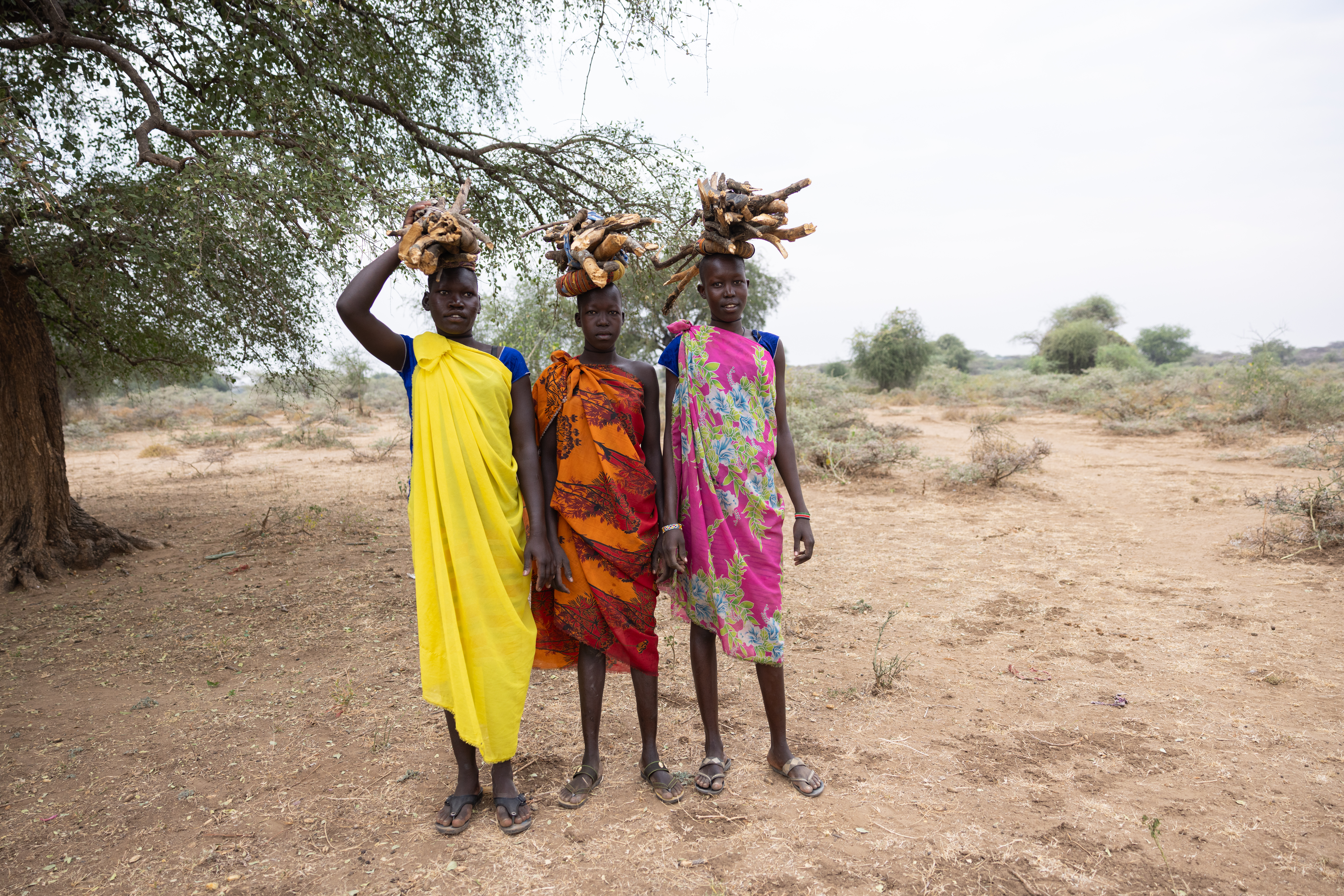 Collecting Firewood in Africa