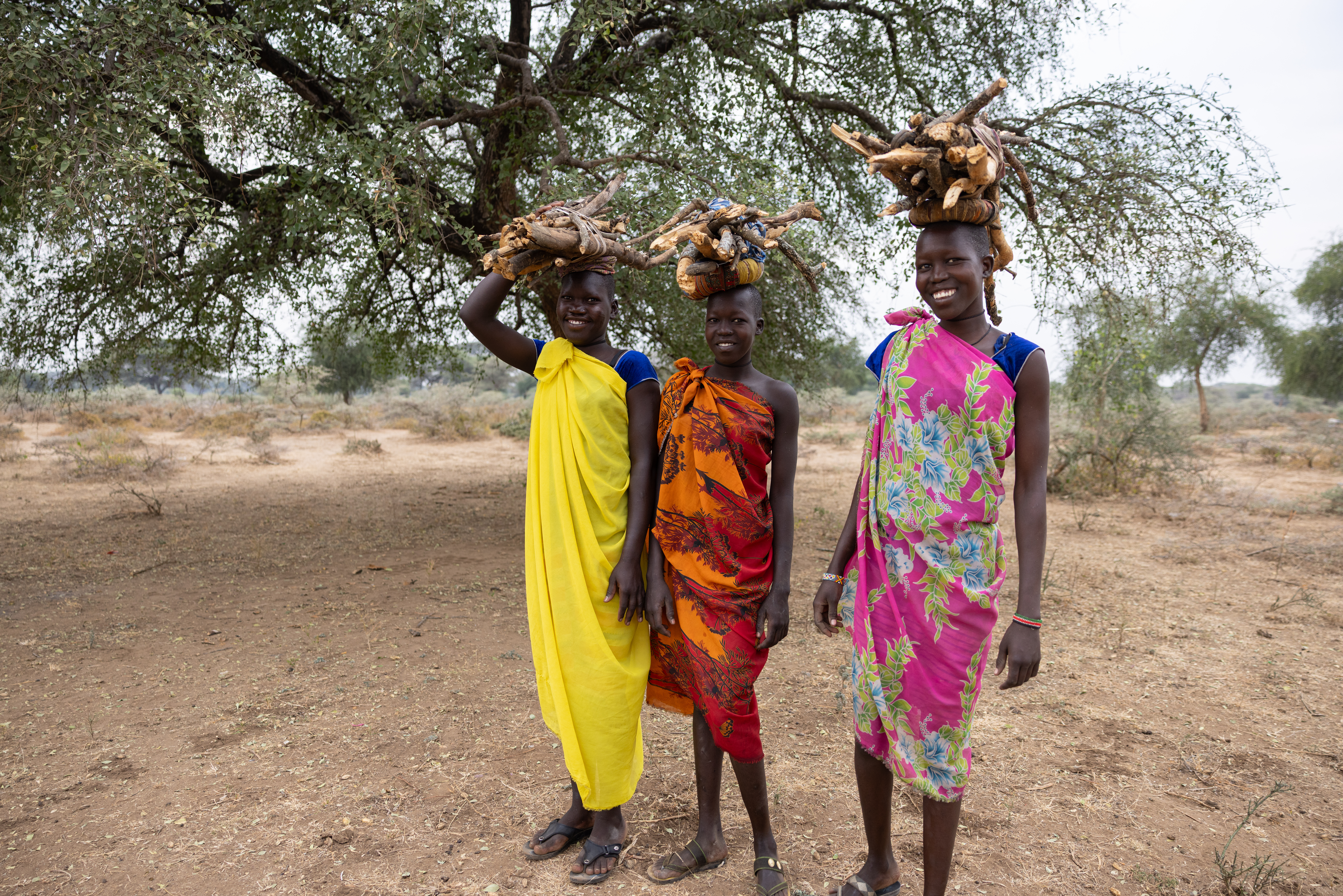 Collecting Firewood in Africa
