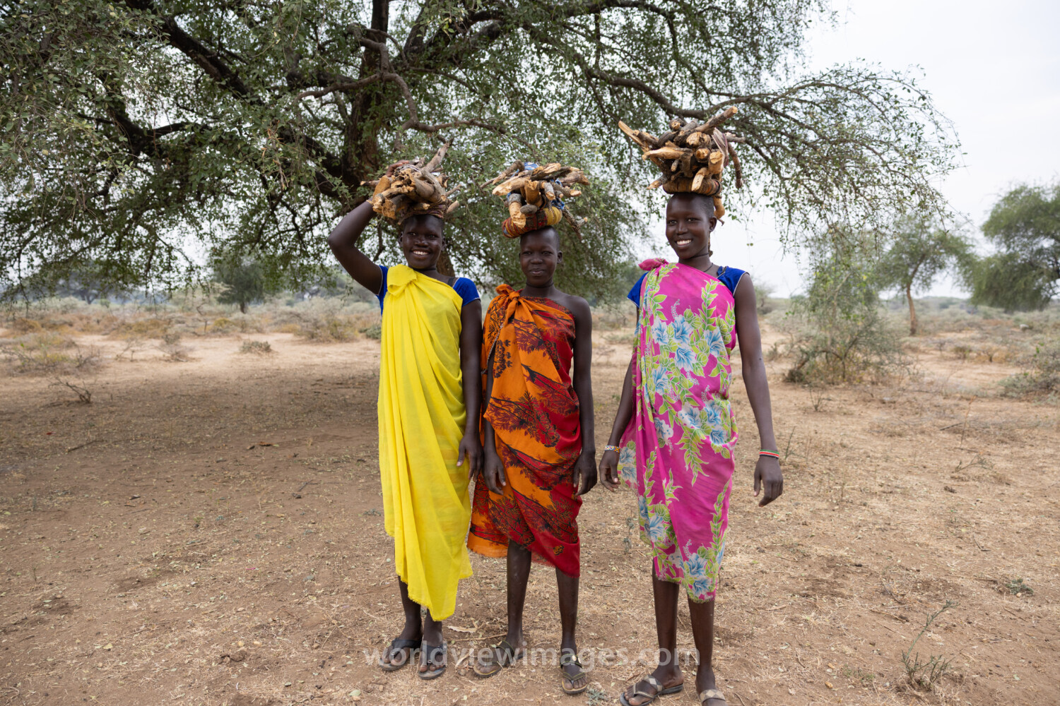 Collecting Firewood in Africa