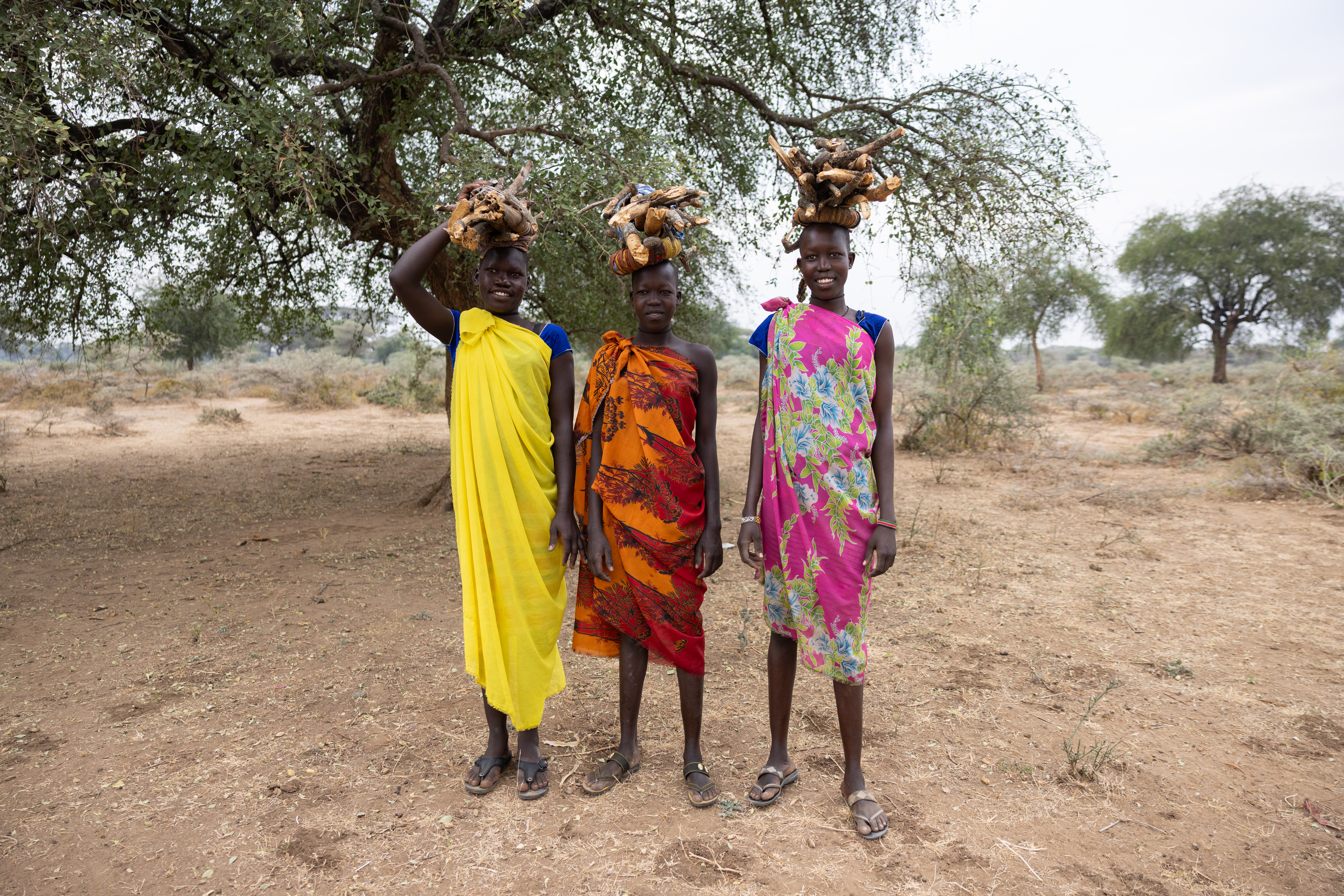 Collecting Firewood in Africa