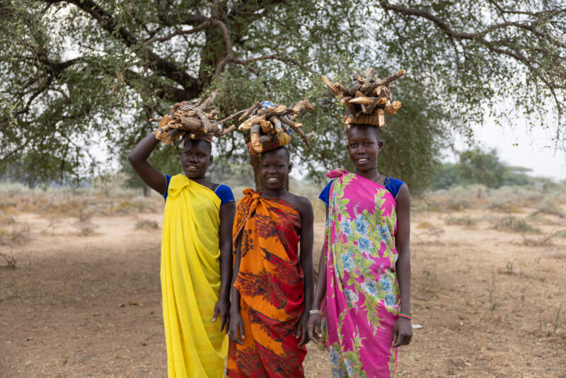 Collecting Firewood in Africa — One daily chore for many young girls in Africa is to collect firewood for cooking. — Frontal Face, Group, Nature, Person, Plant