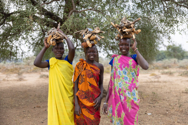 Collecting Firewood in Africa — One daily chore for many young girls in Africa is to collect firewood for cooking. — Frontal Face, Group, Person, South Sudan...