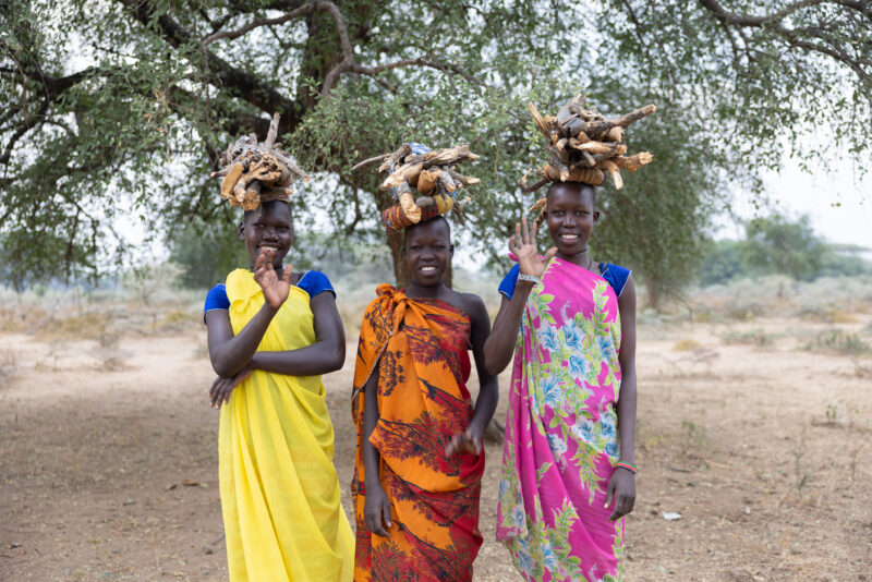 Collecting Firewood in Africa — One daily chore for many young girls in Africa is to collect firewood for cooking. — Frontal Face, Group, Person, South Sudan...