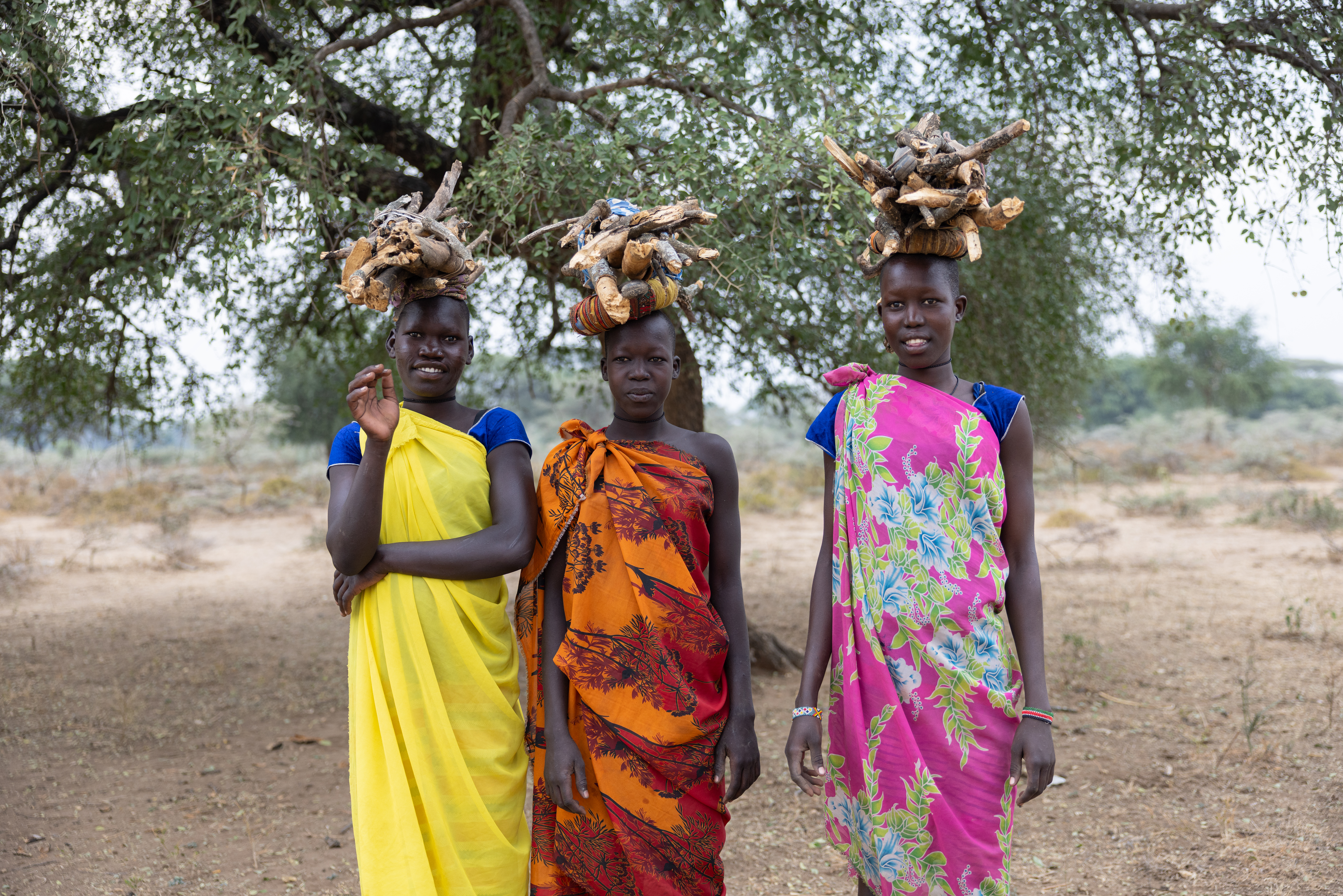 Collecting Firewood in Africa