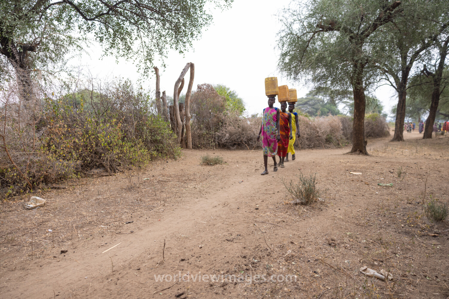 Collecting Water in Africa