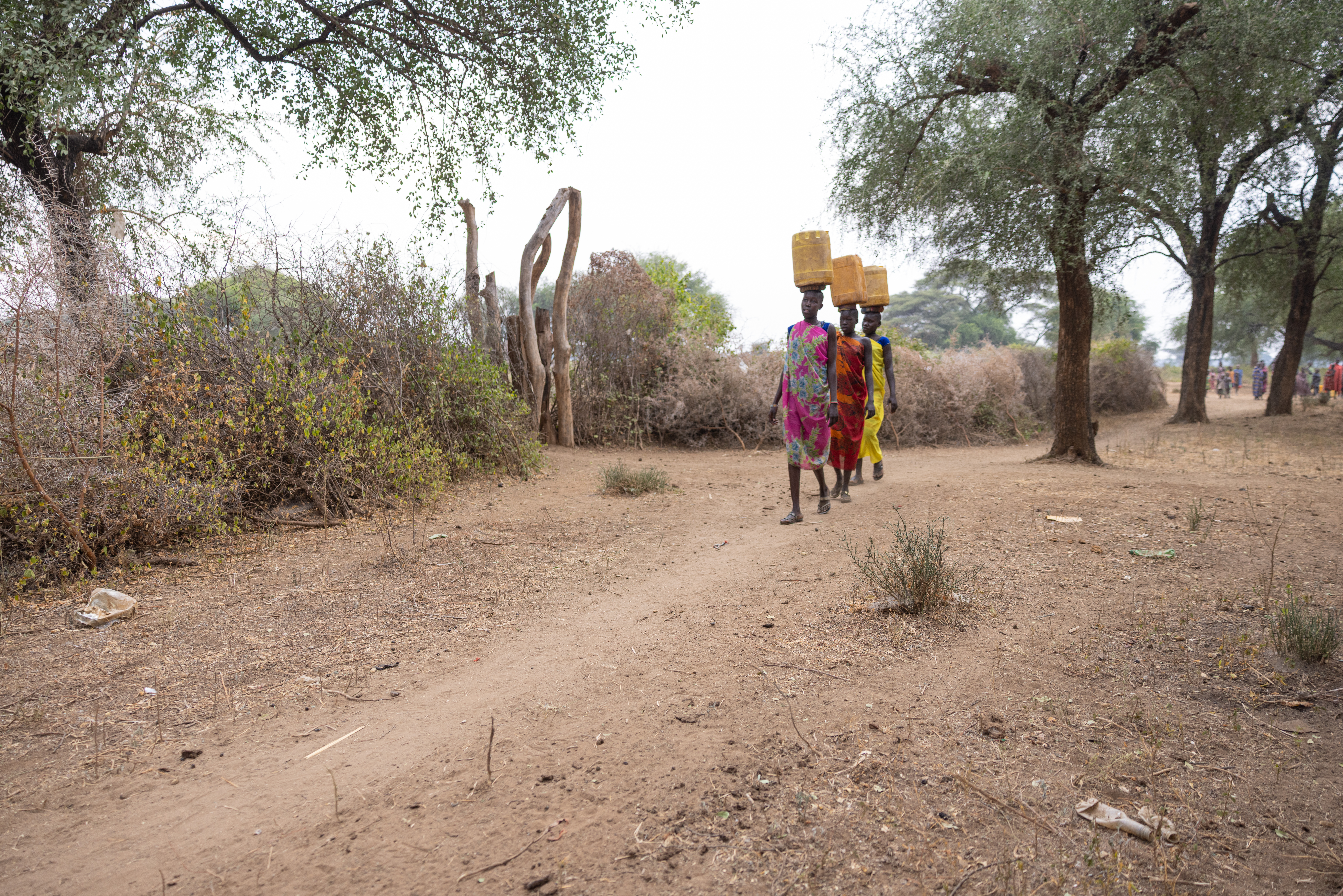 Collecting Water in Africa