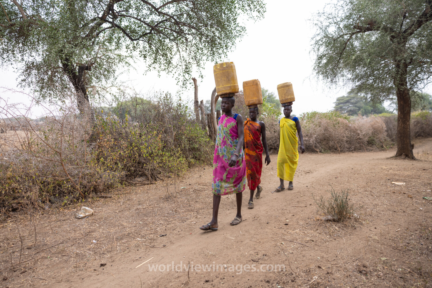 Collecting Water in Africa