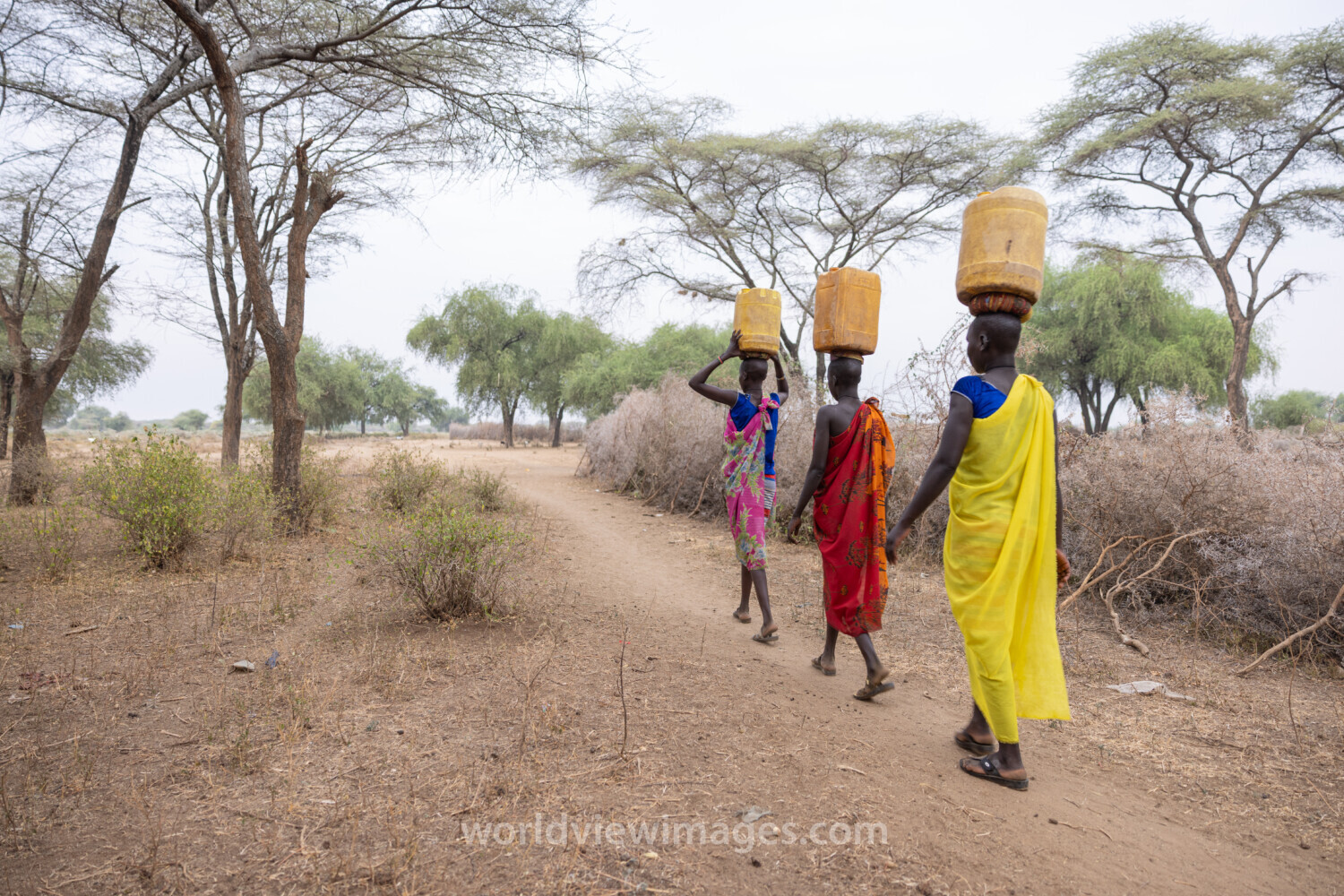 Collecting Water in Africa