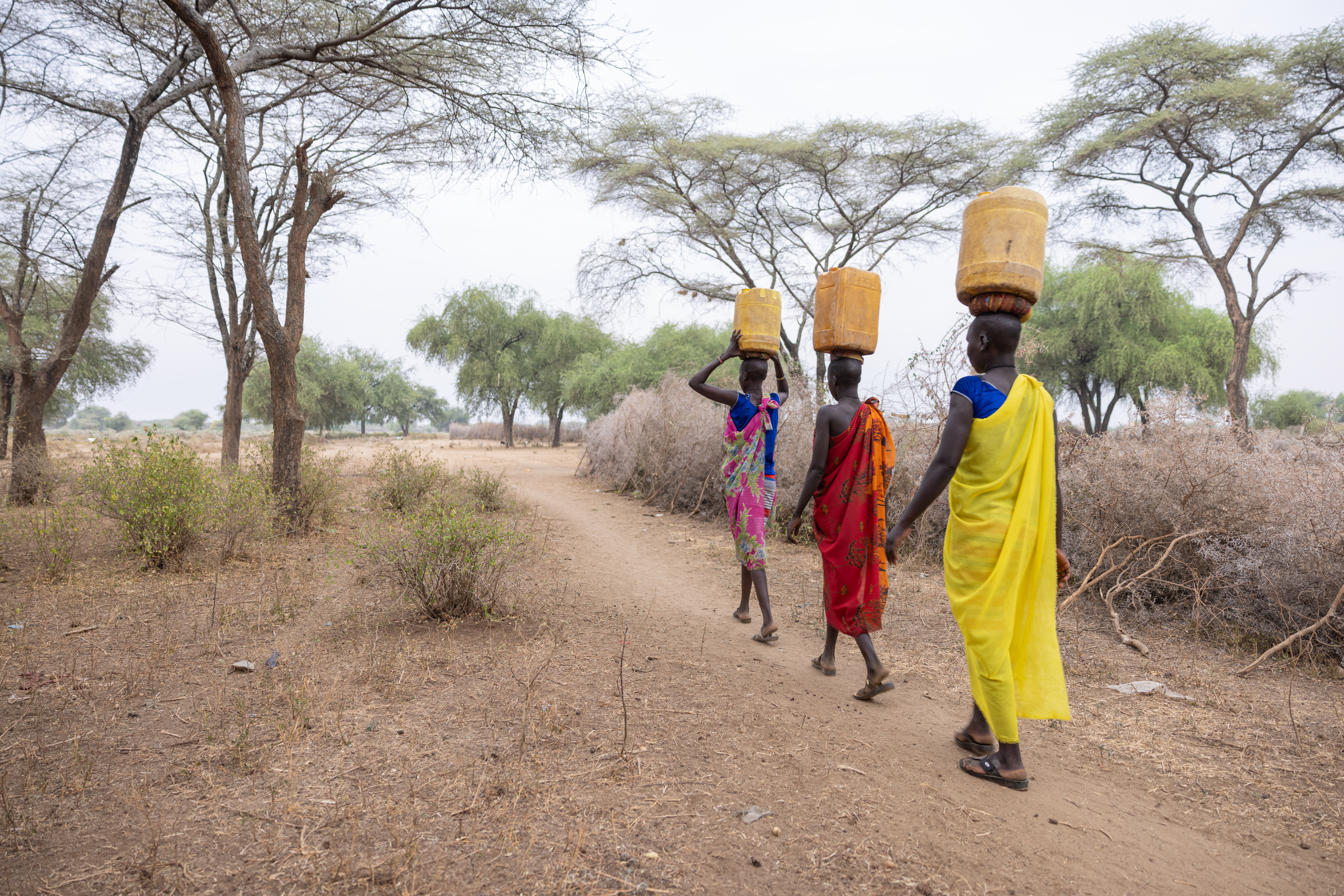 Collecting Water in Africa