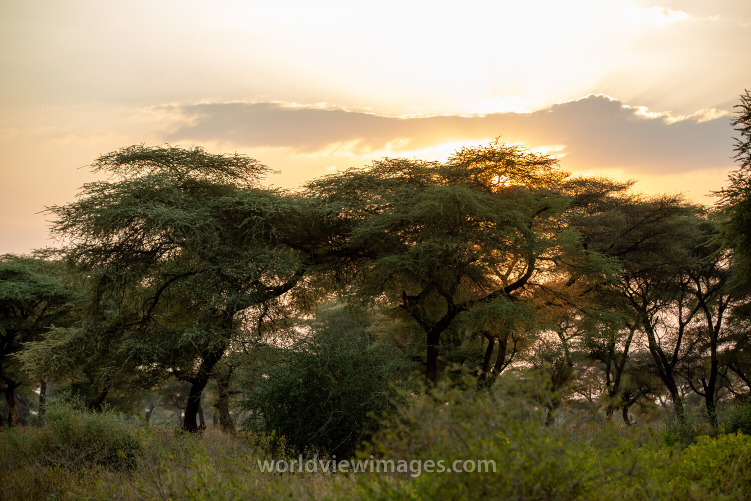 Sunset in South Sudan