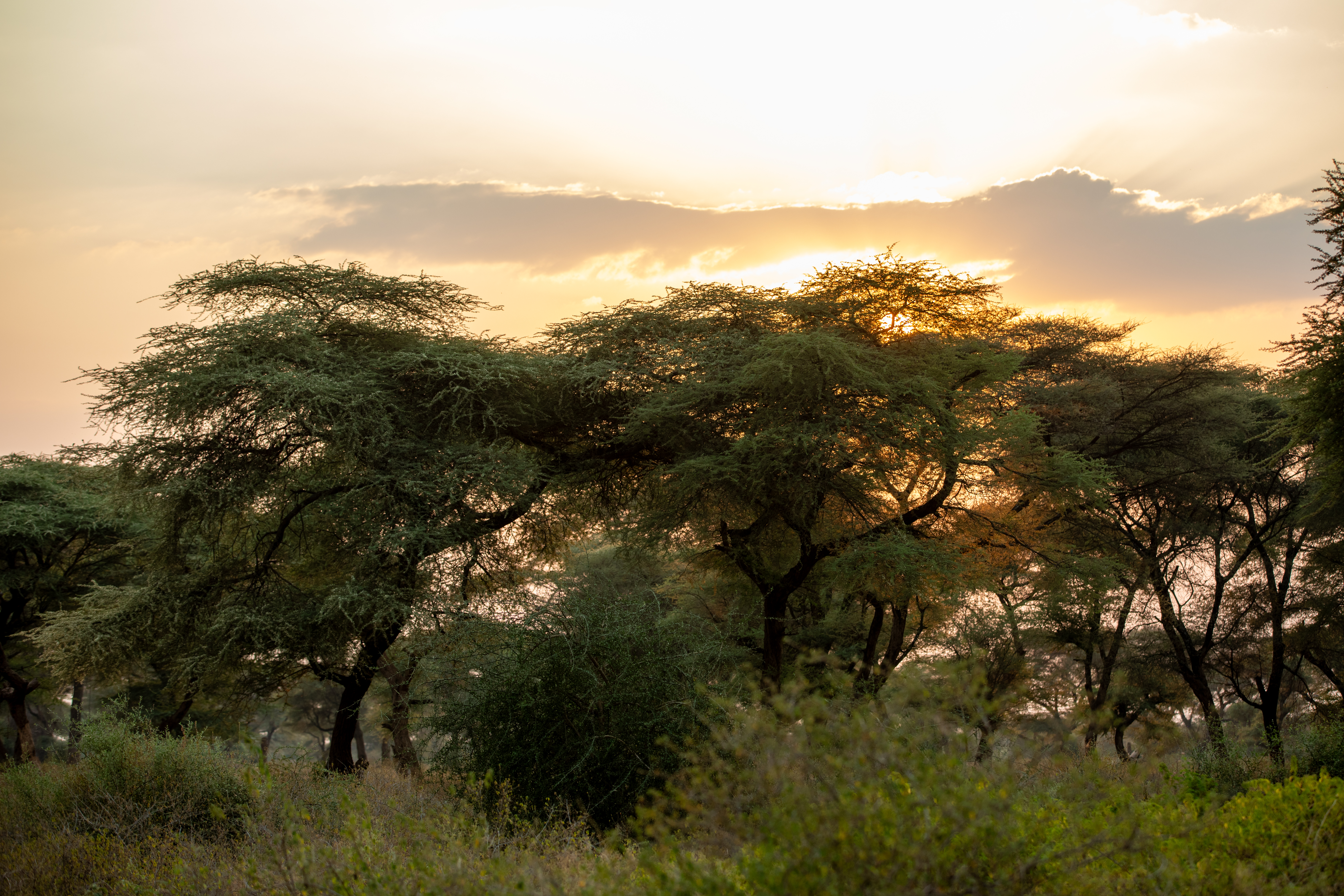 Sunset in South Sudan