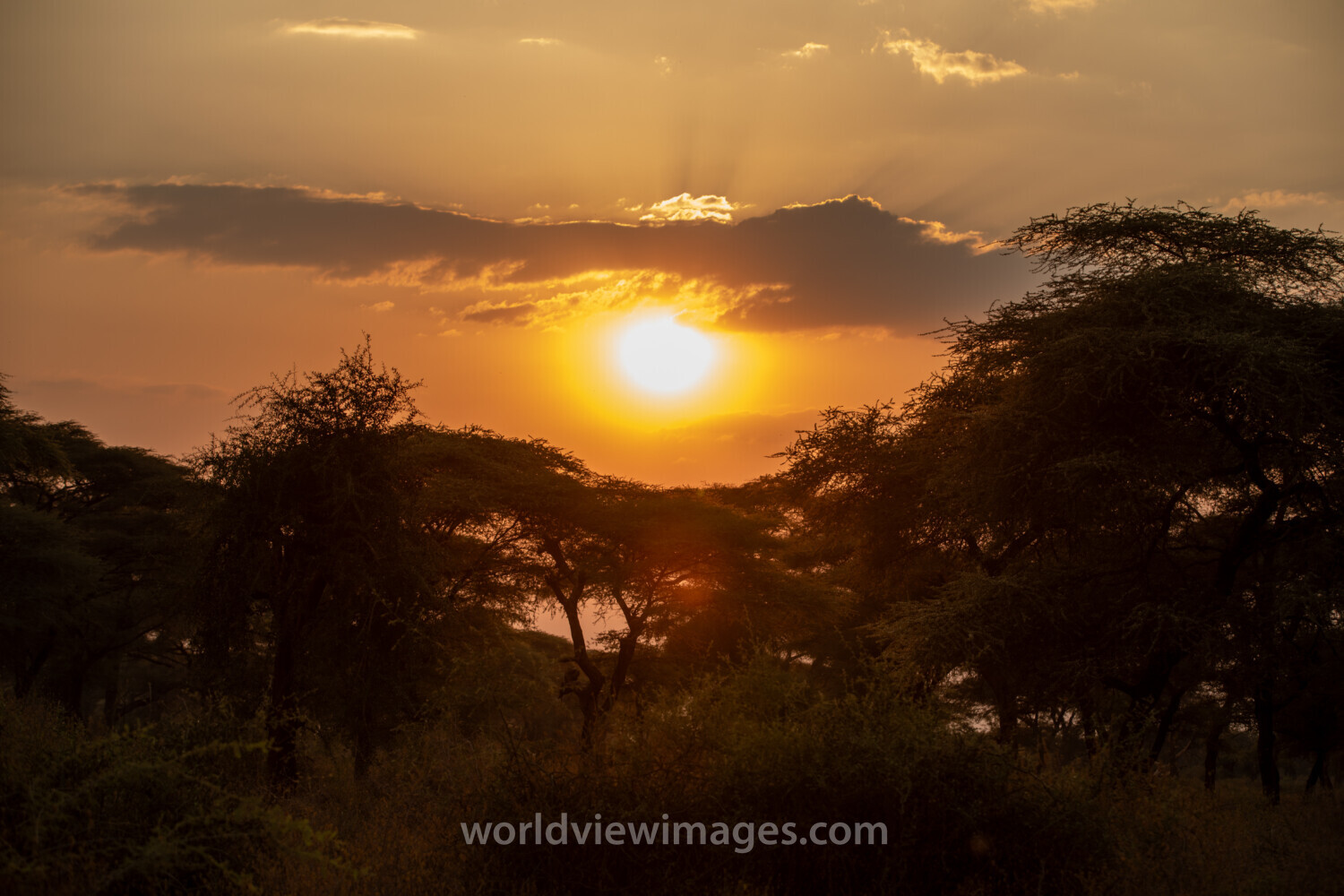 Sunset in South Sudan