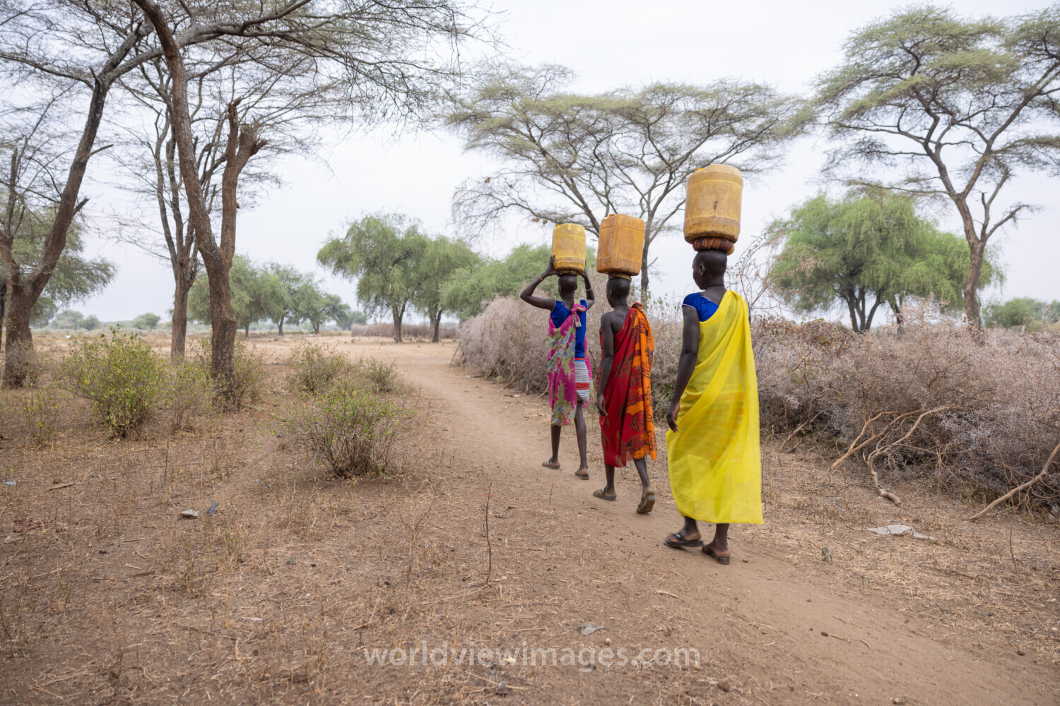 Collecting Water in Africa