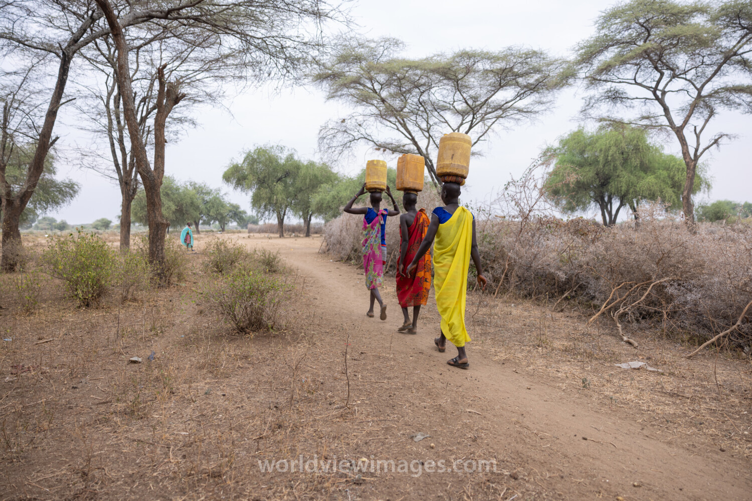 Collecting Water in Africa