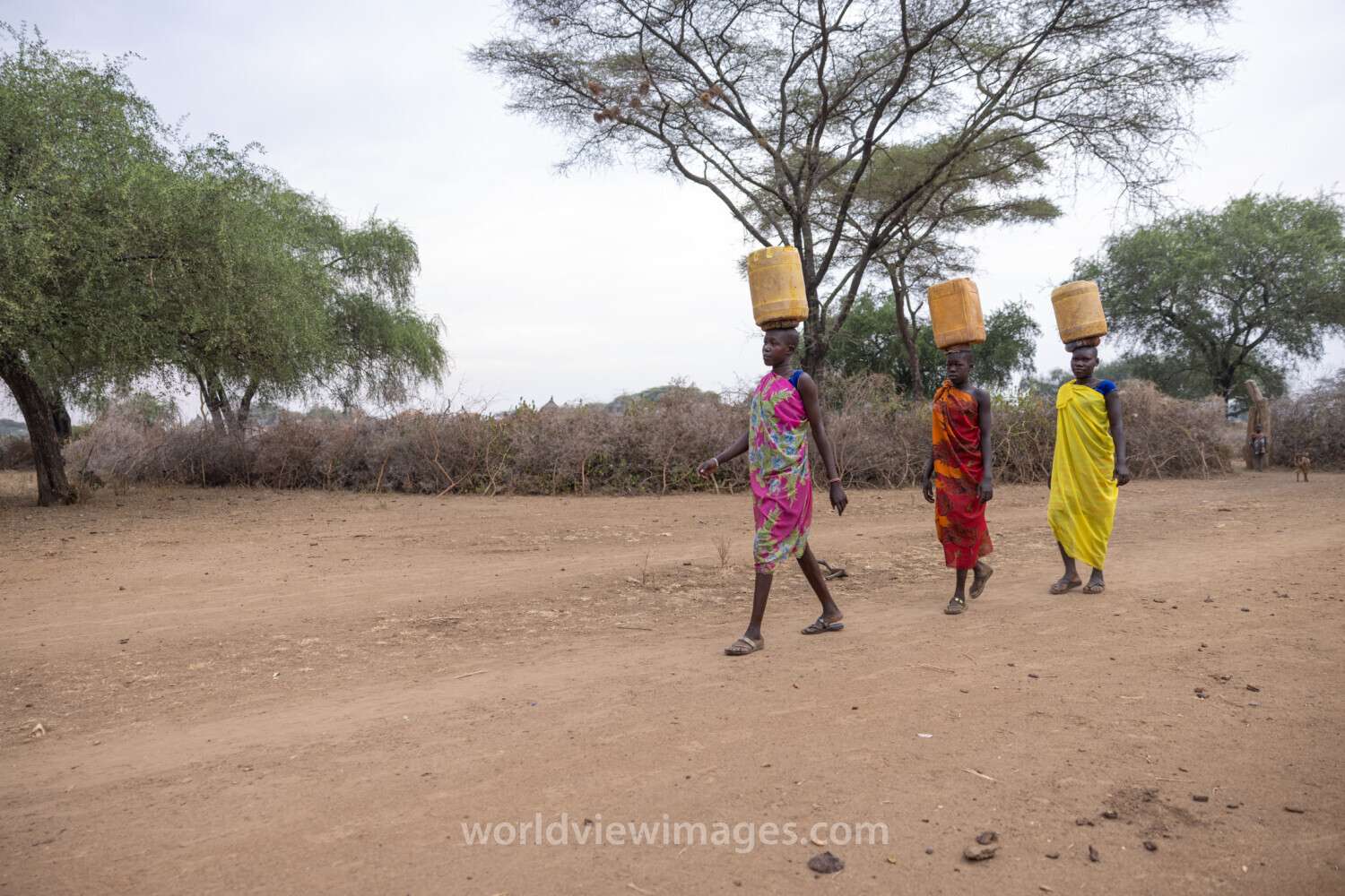 Collecting Water in Africa