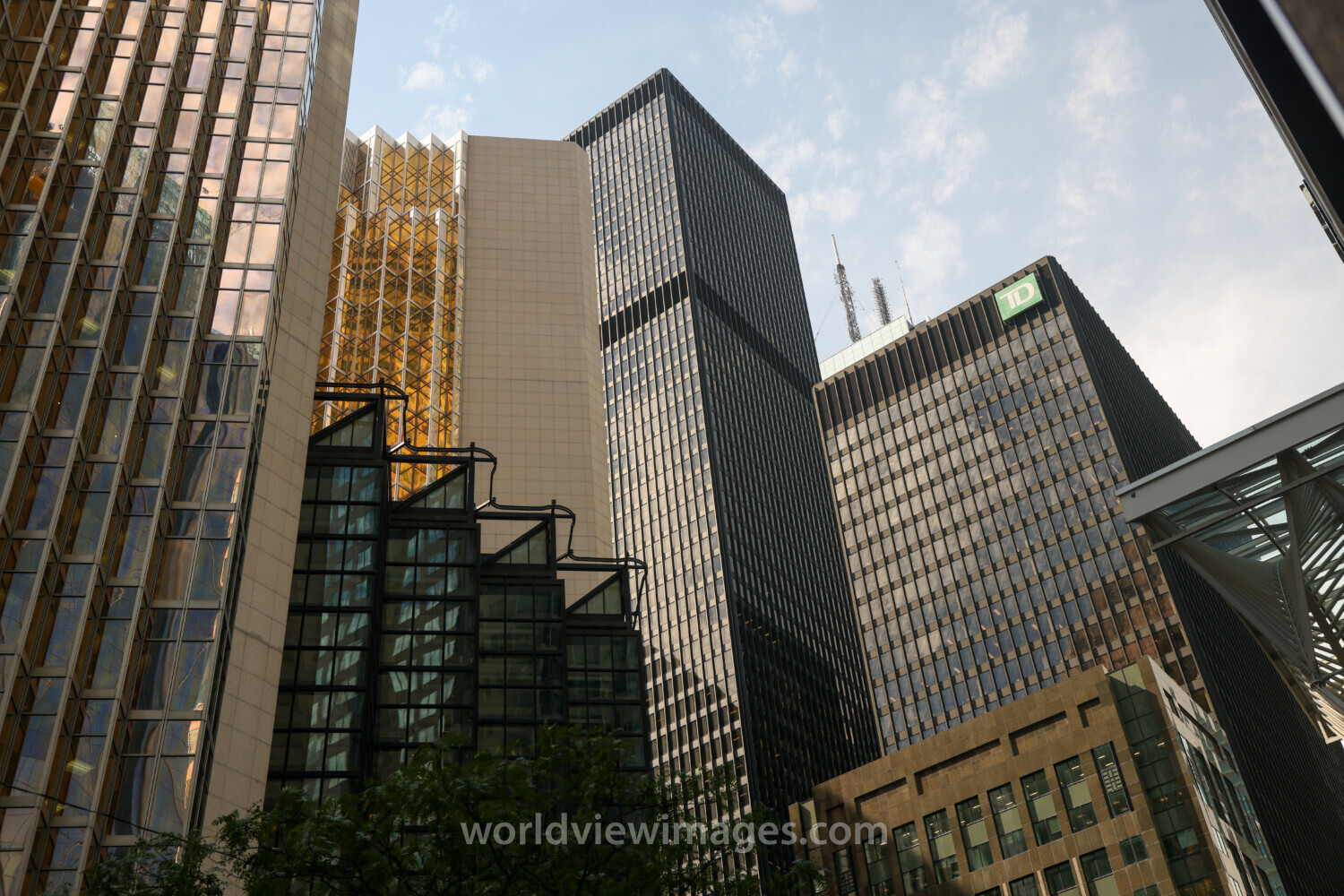 Toronto City Streets