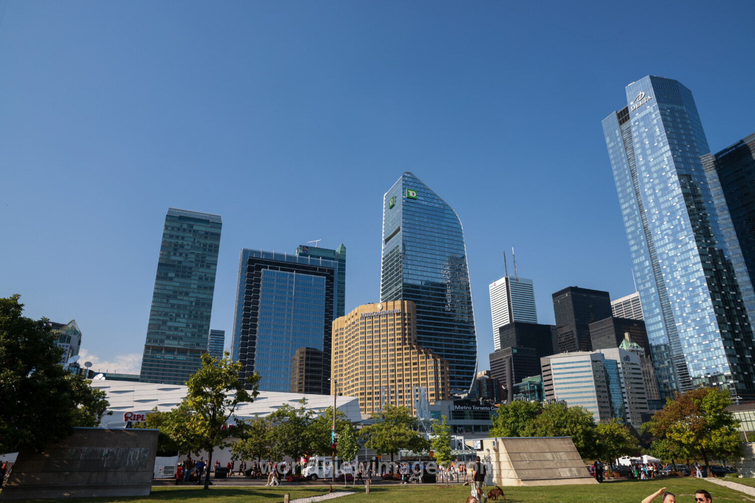 Toronto City Streets