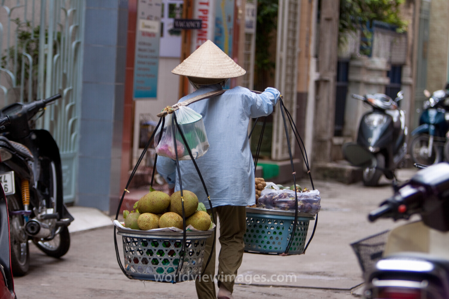 Walking Fruit Market
