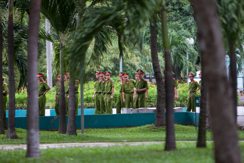 Morning Exercises — Forest, Frontal Face, Group, Nature, Palm Tree