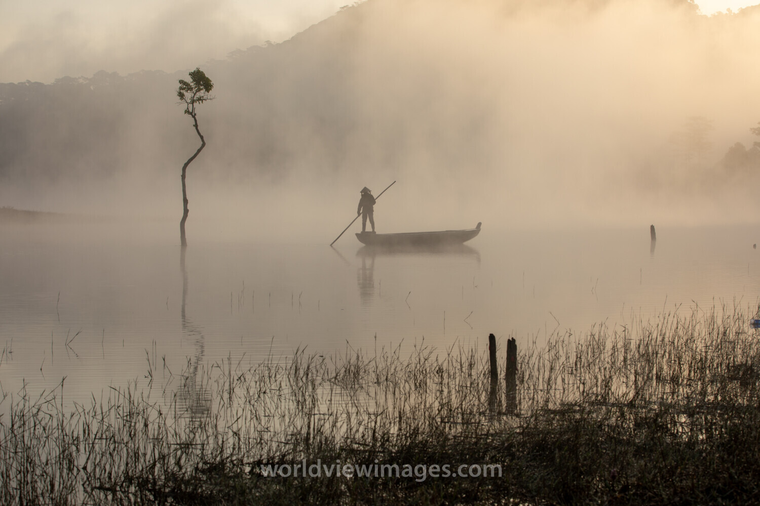 Early Morning on the Lake