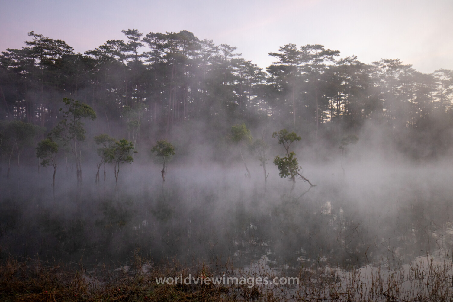 Early Morning on the Lake