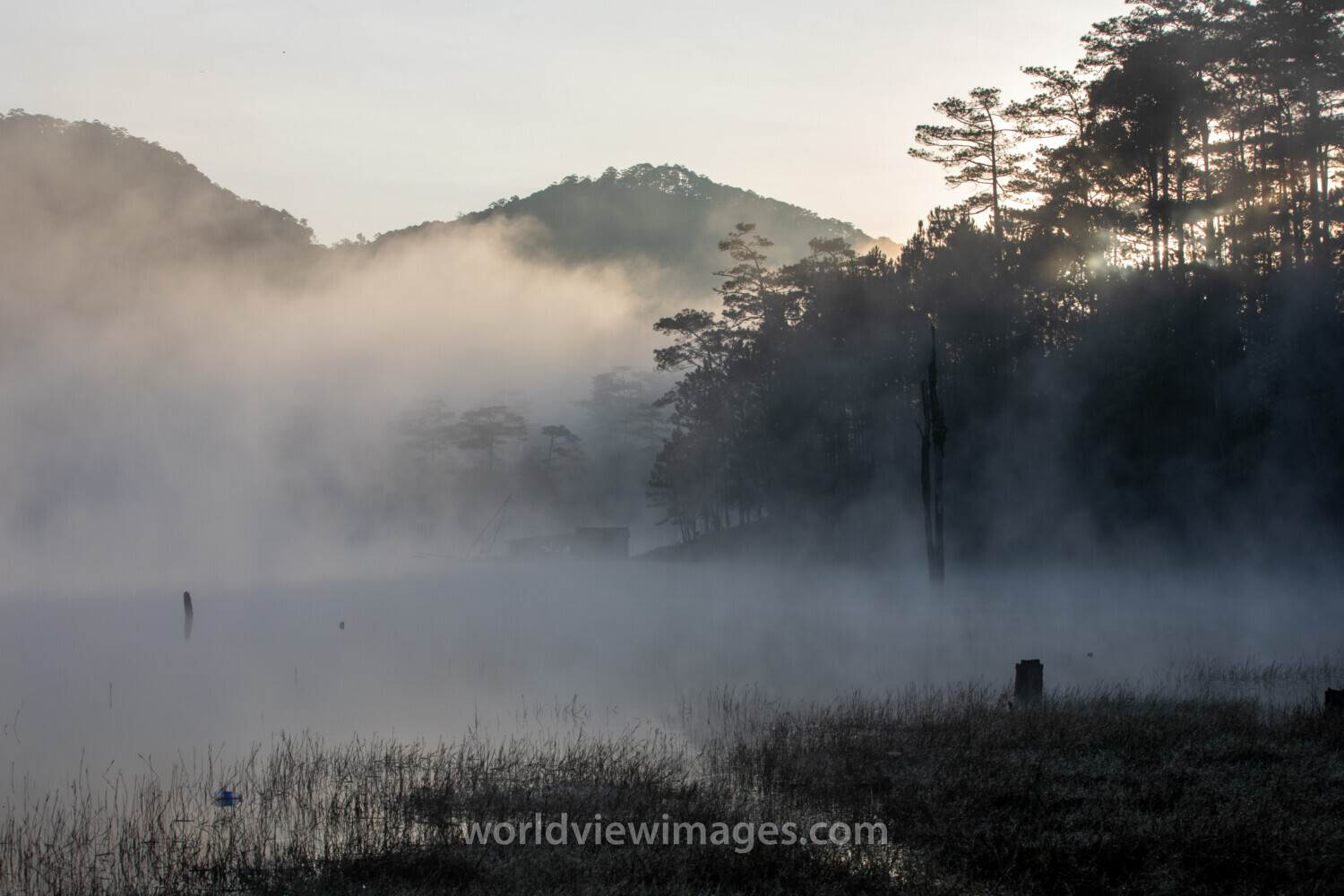Early Morning on the Lake