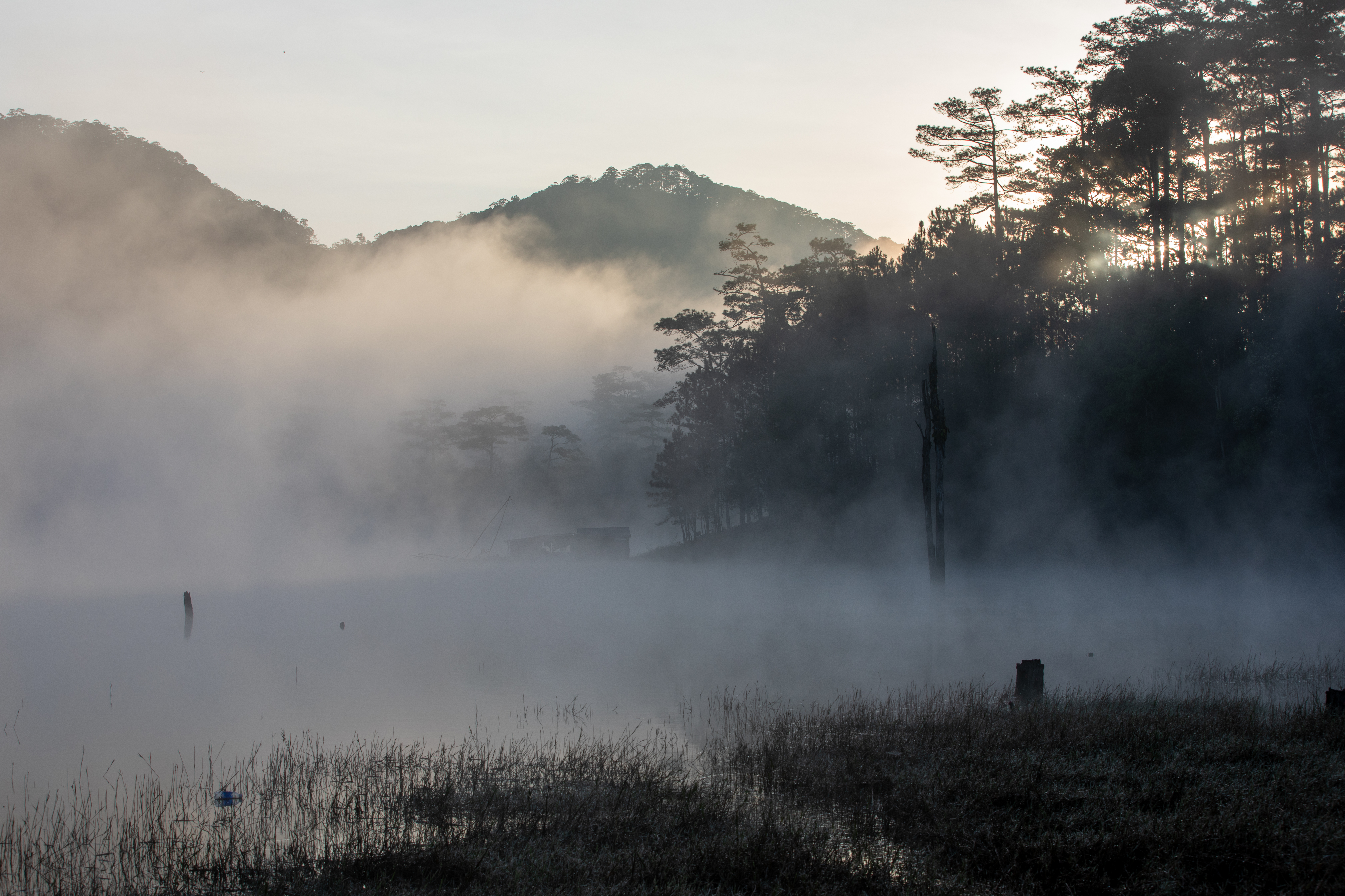 Early Morning on the Lake