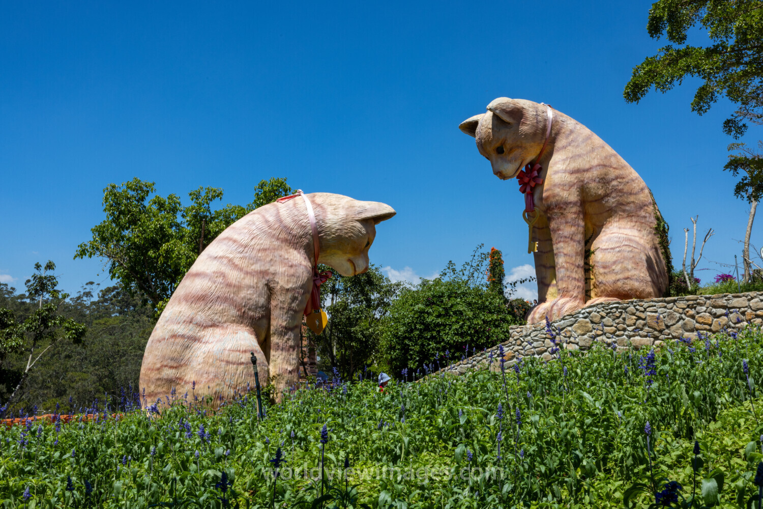 Cat Sculpture in Vietnam