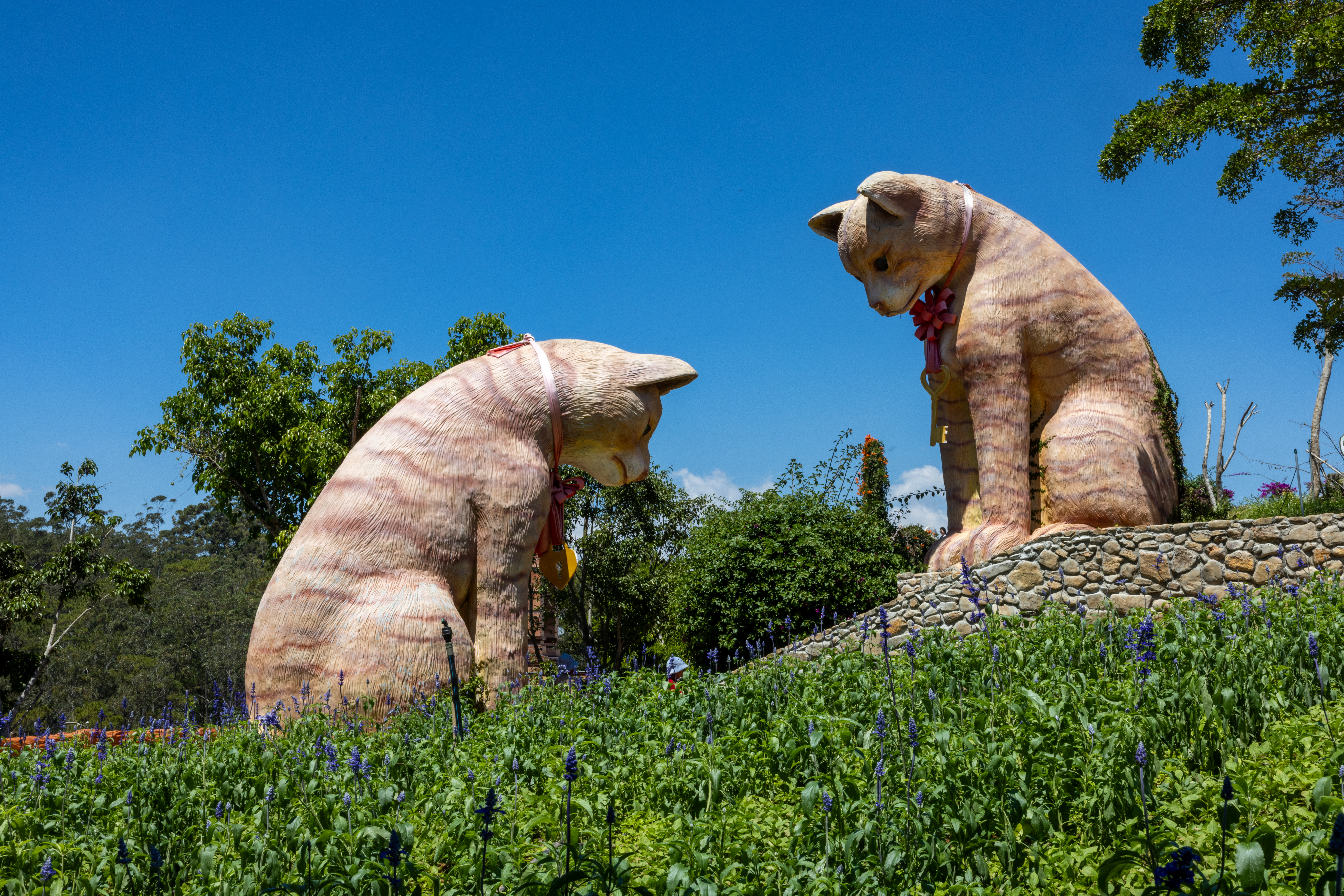 Cat Sculpture in Vietnam