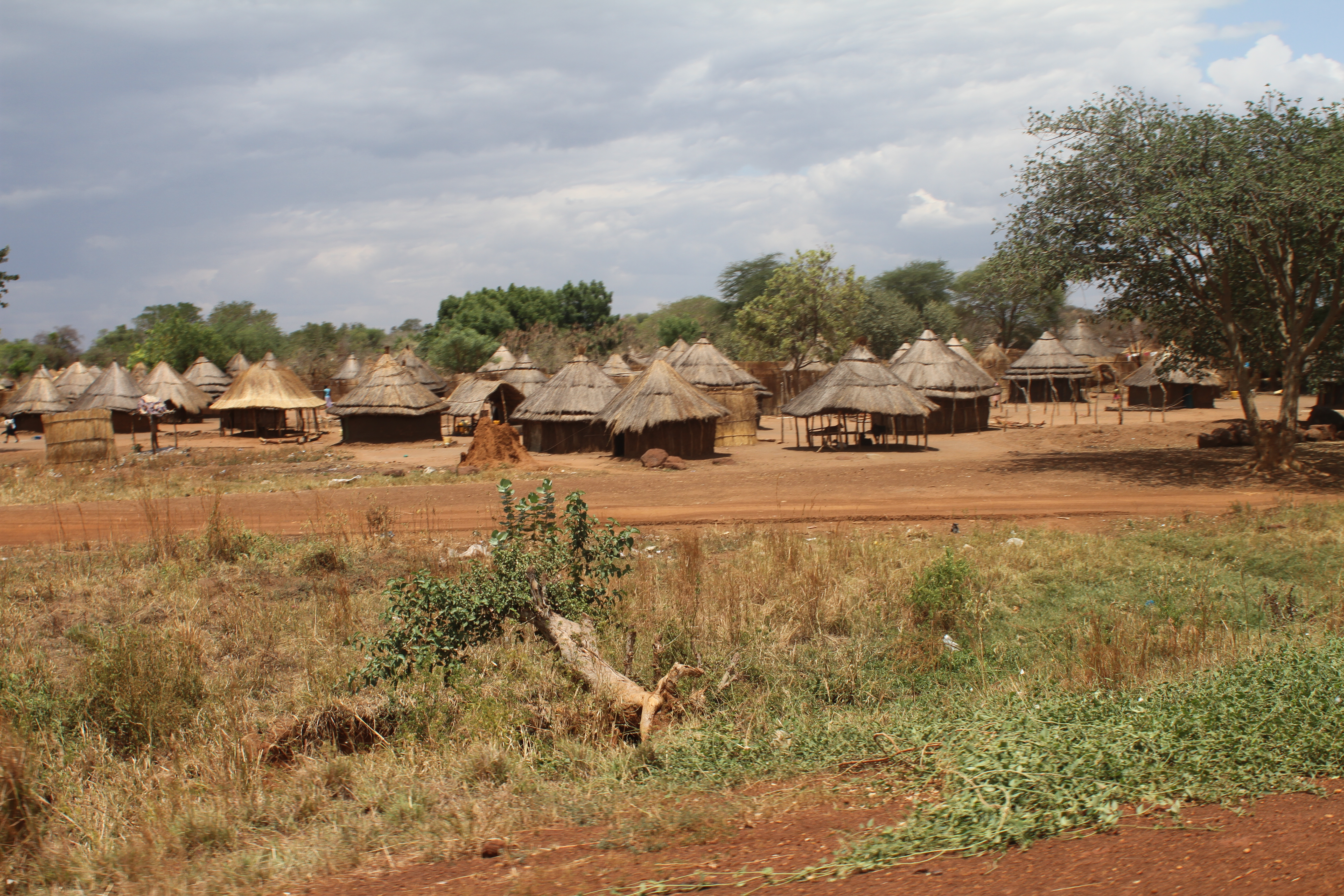Rural Village in South Sudan