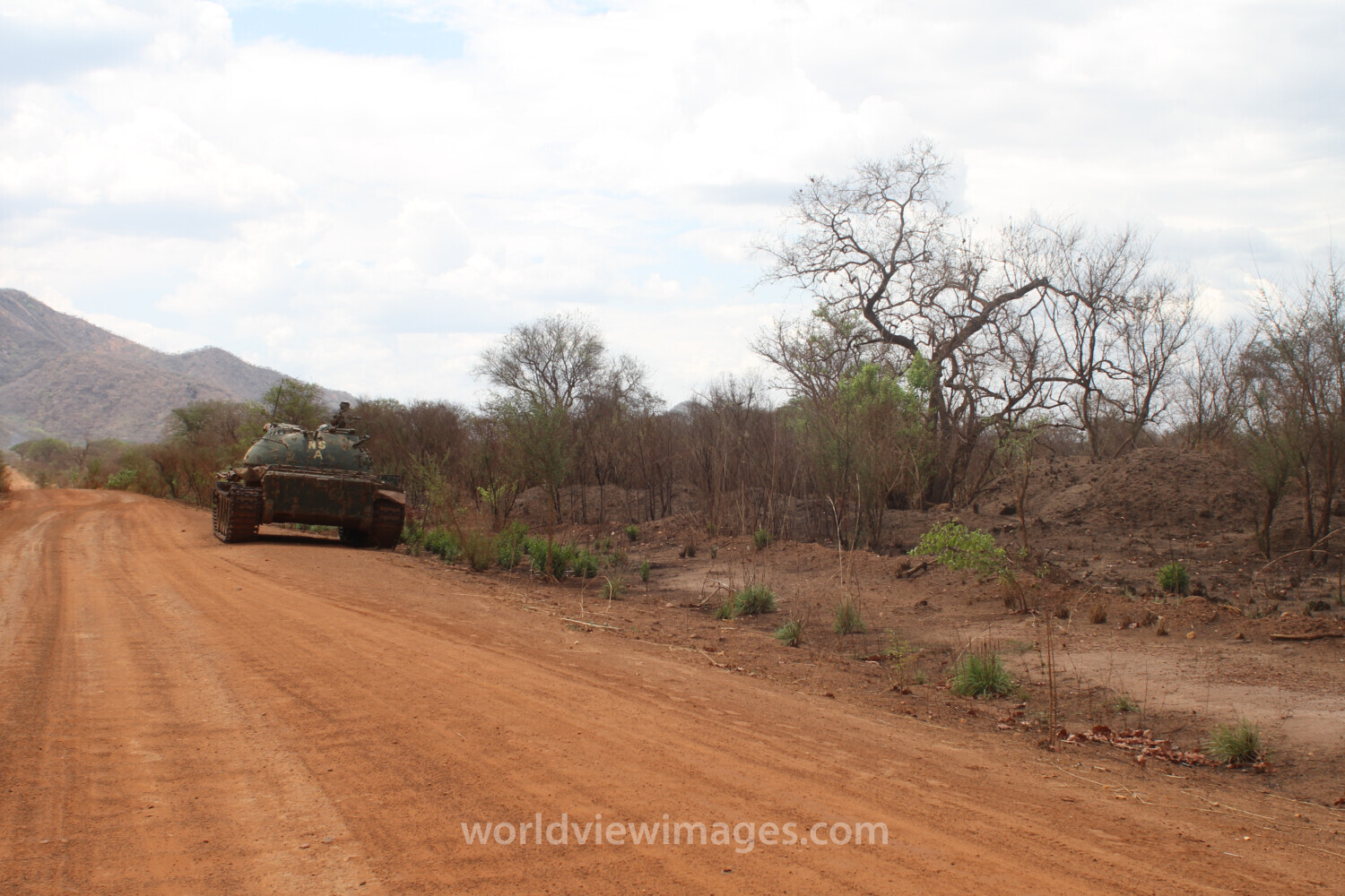 Army Tank on Road