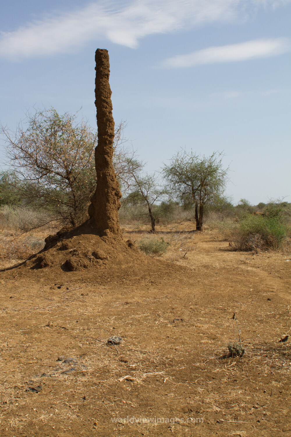 Ant Hill In South Sudan