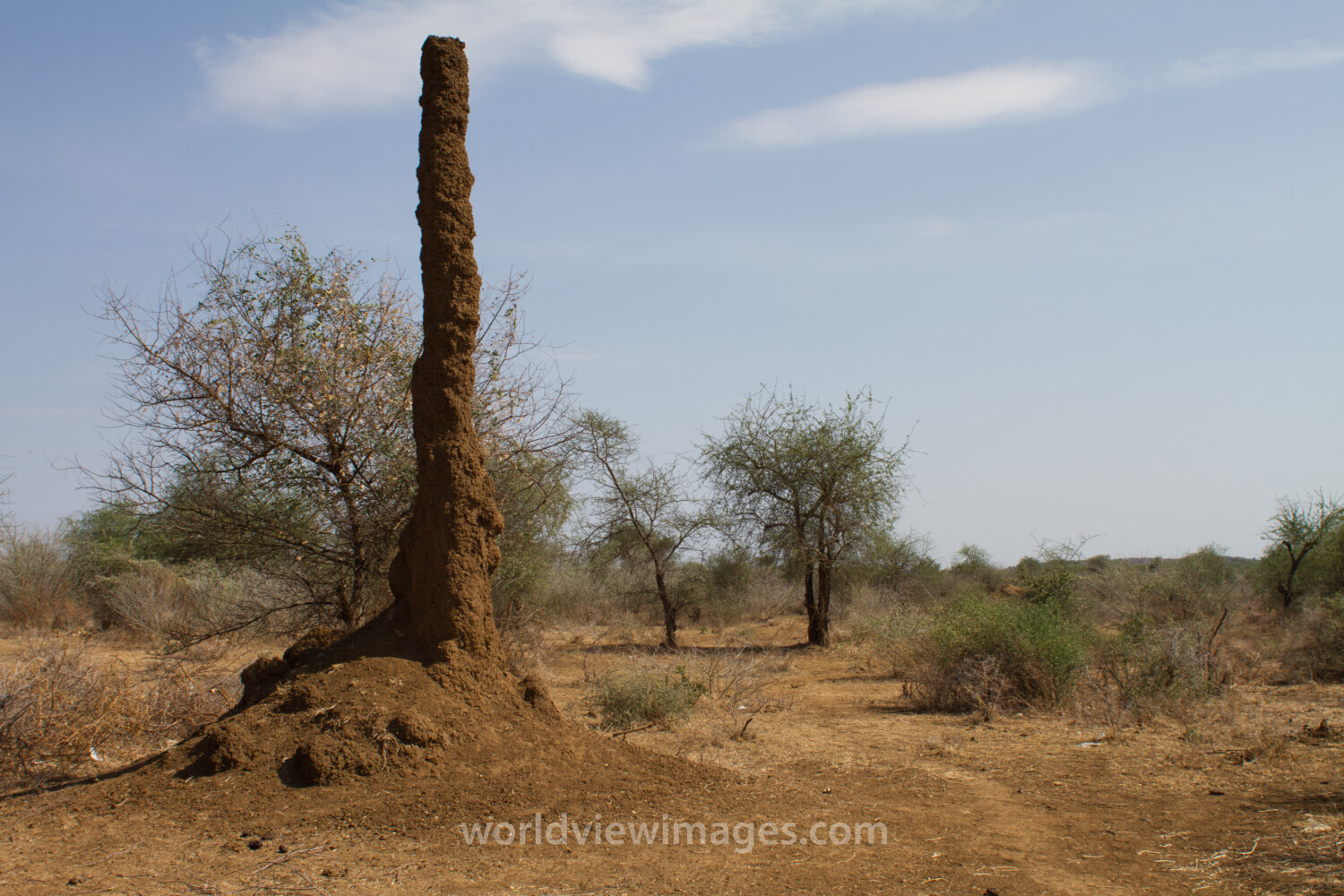 Ant Hill In South Sudan
