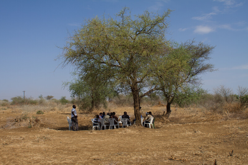 Meeting Under a Tree