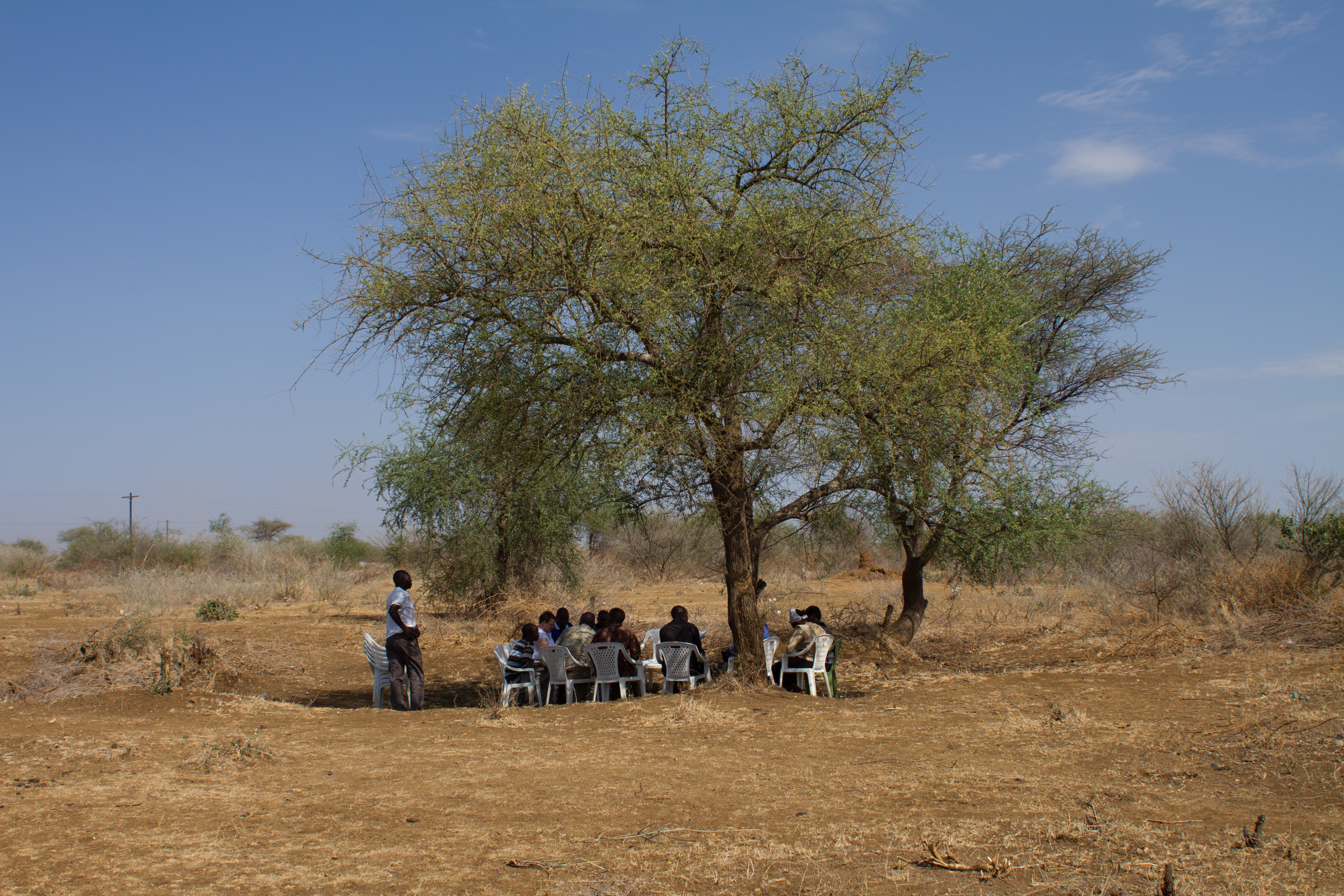 Meeting Under a Tree