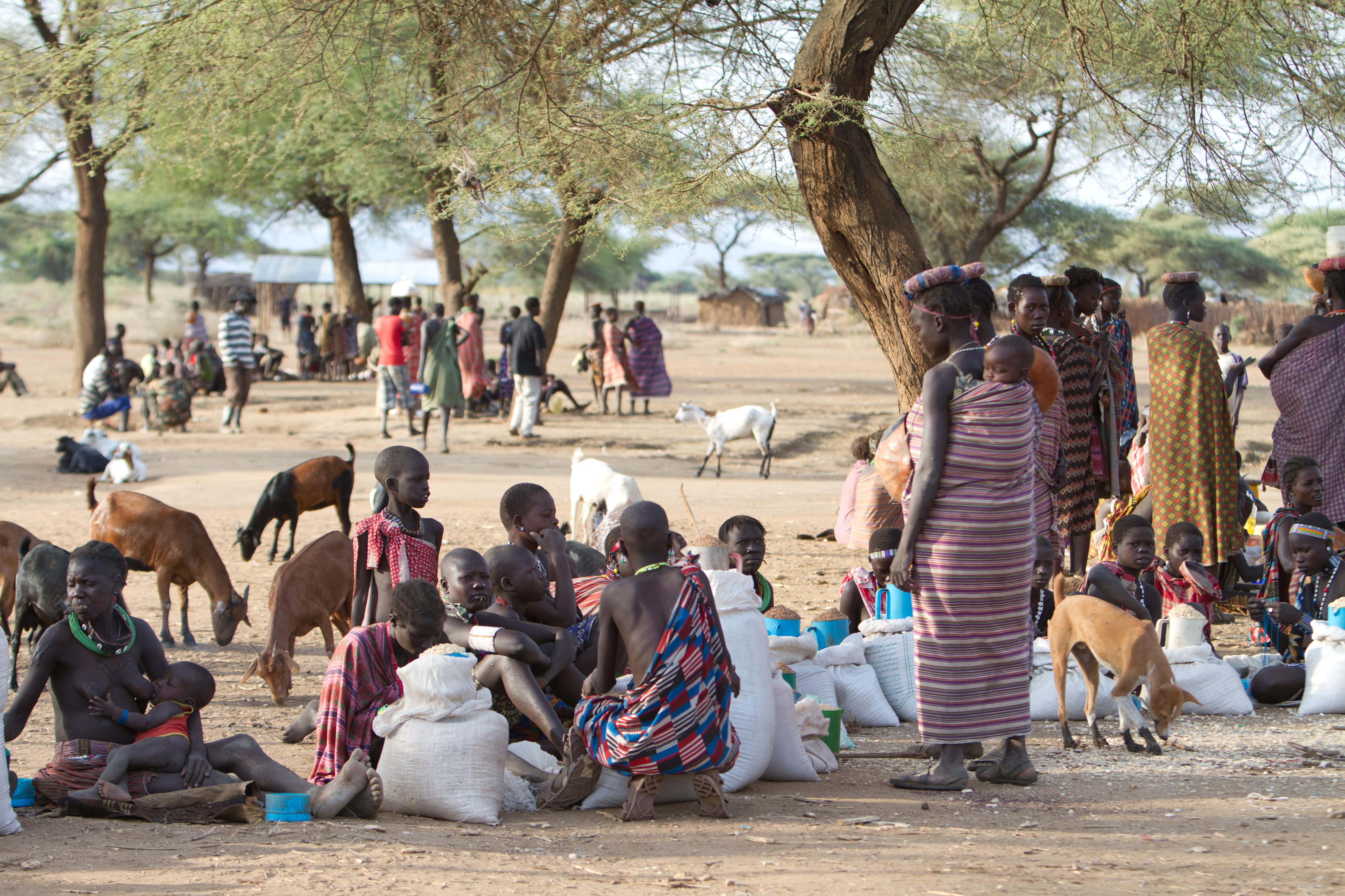 Market in South Sudan