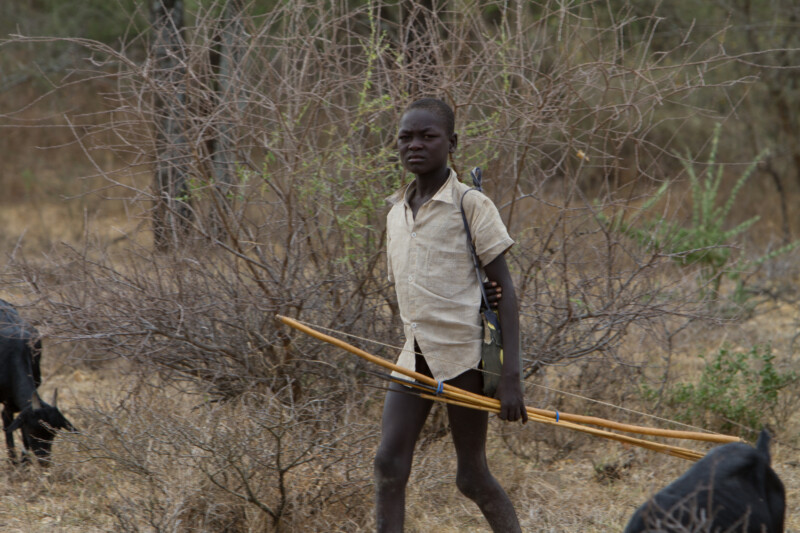 Stock Images of South Sudan – Boy herding goats