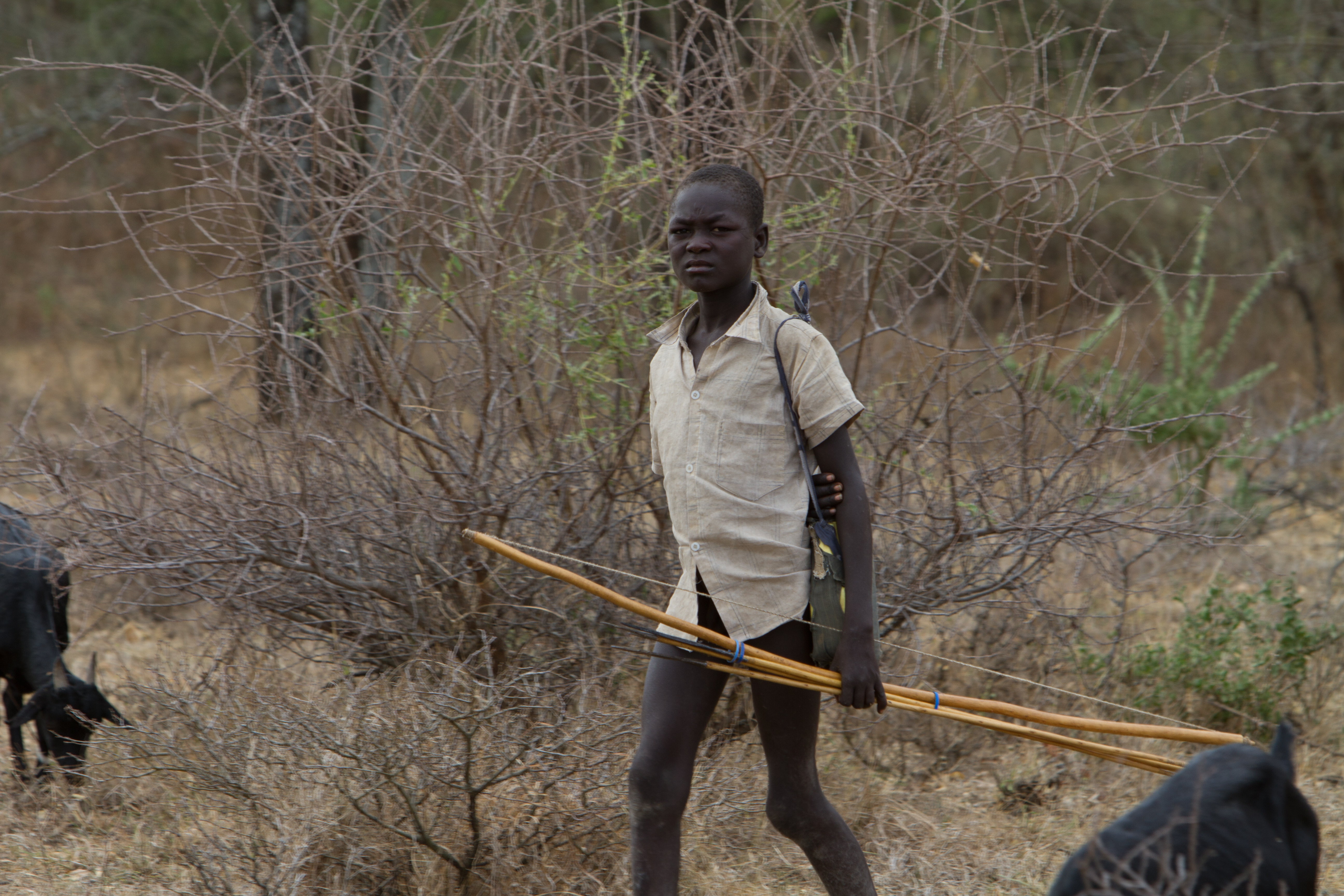 Stock Images of South Sudan – Boy herding goats
