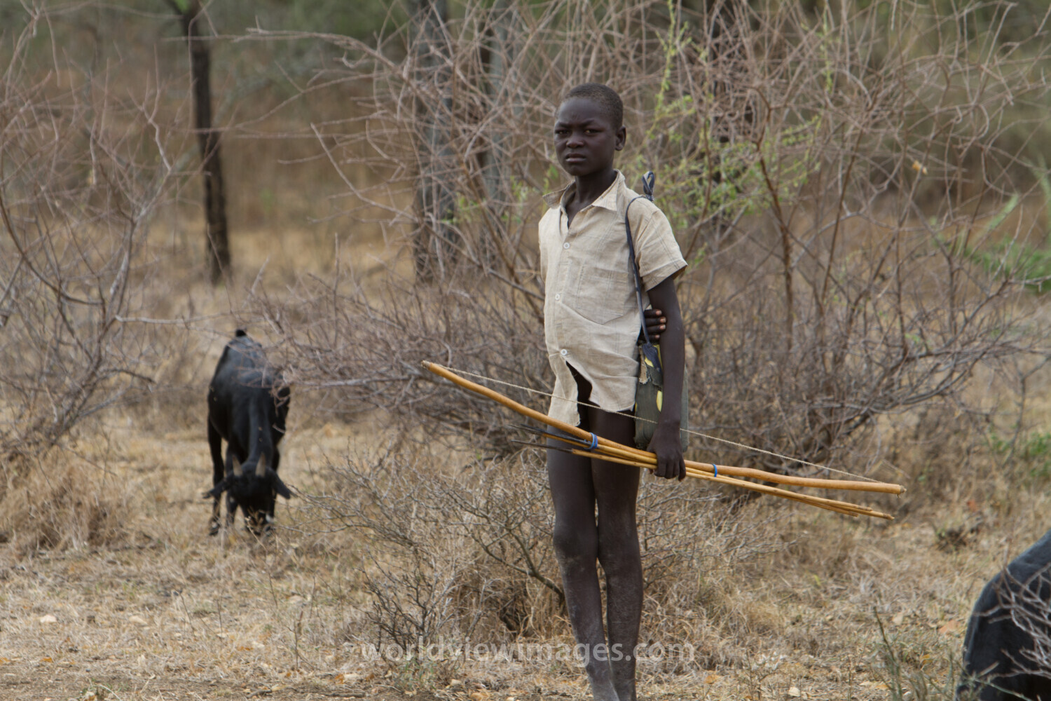 Stock Images of South Sudan – Boy herding goats