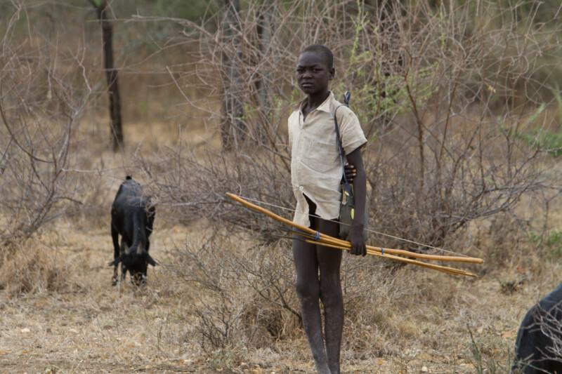 Stock Images of South Sudan – Boy herding goats