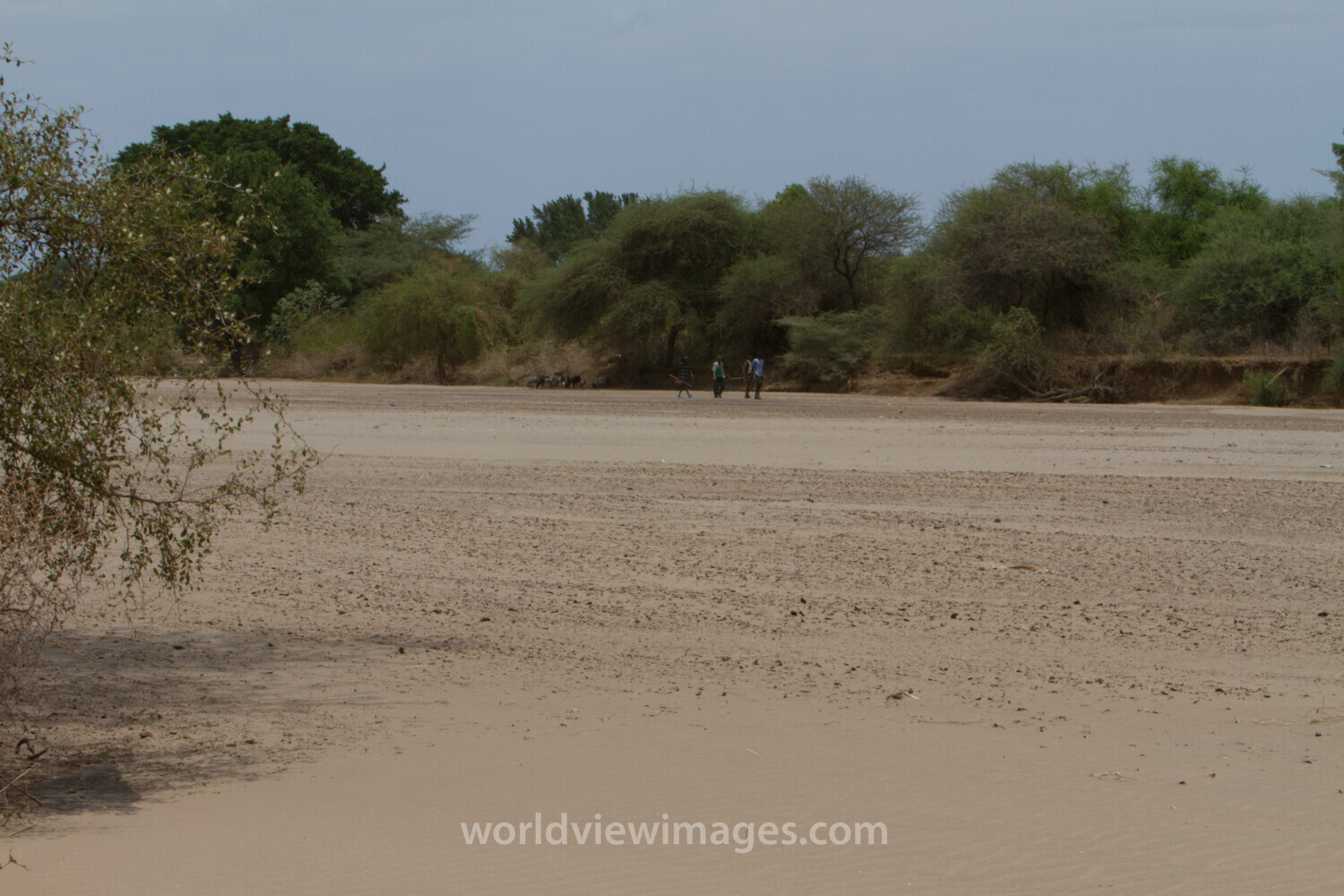 Stock Images of South Sudan – Seasonal River bed