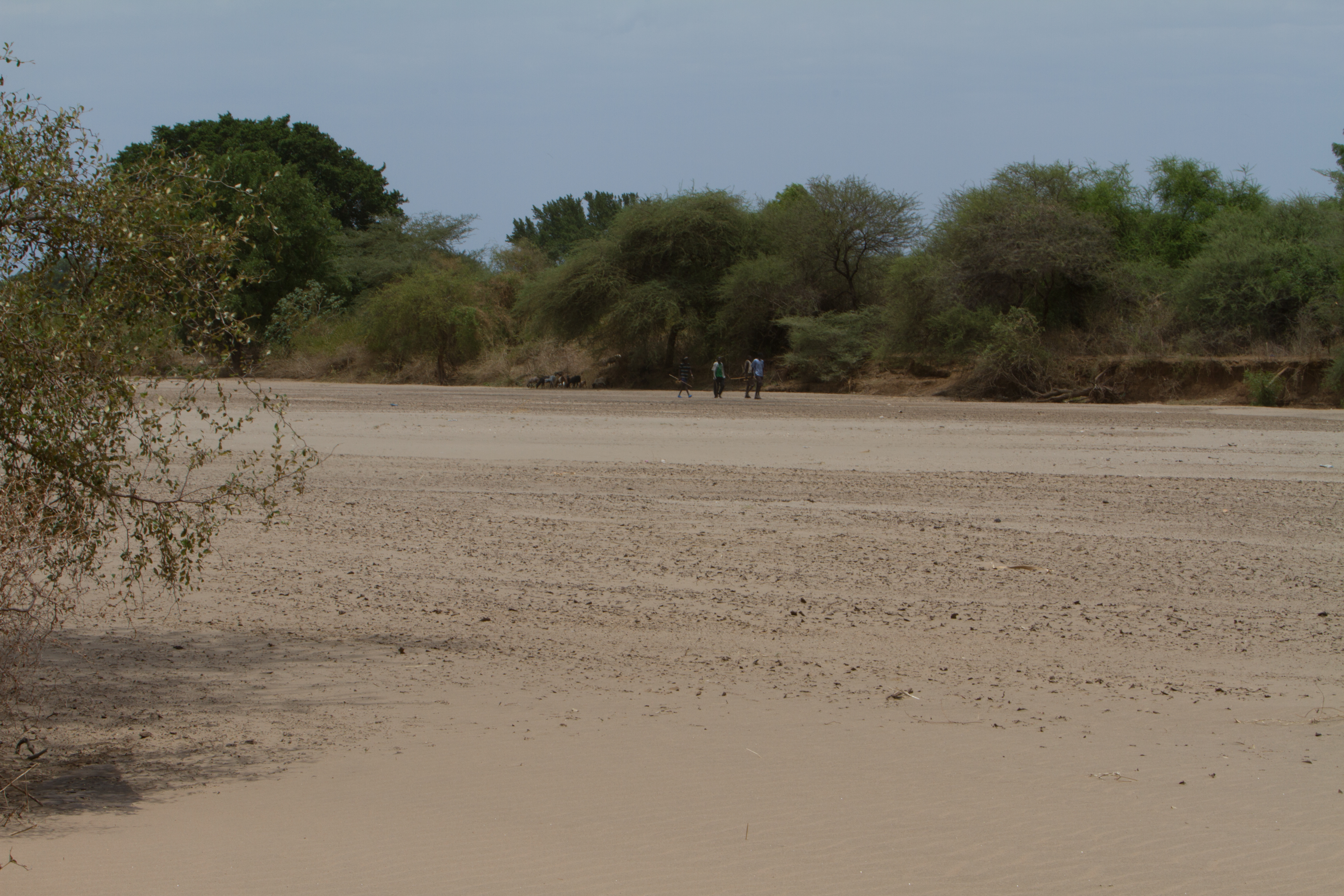 Stock Images of South Sudan – Seasonal River bed