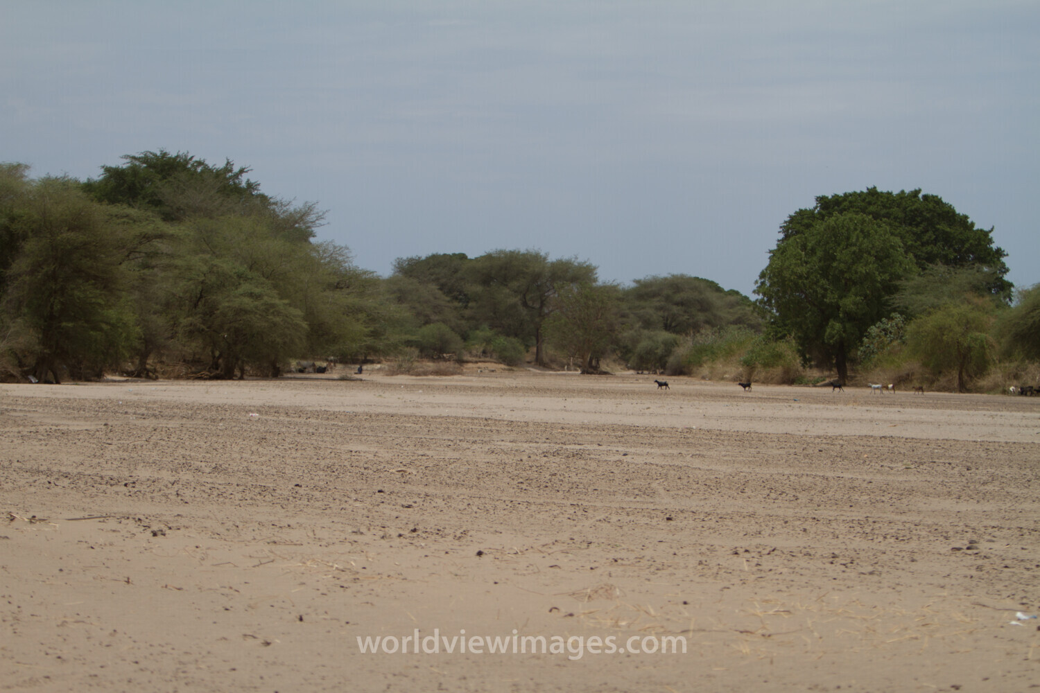 Stock Images of South Sudan – Seasonal River bed